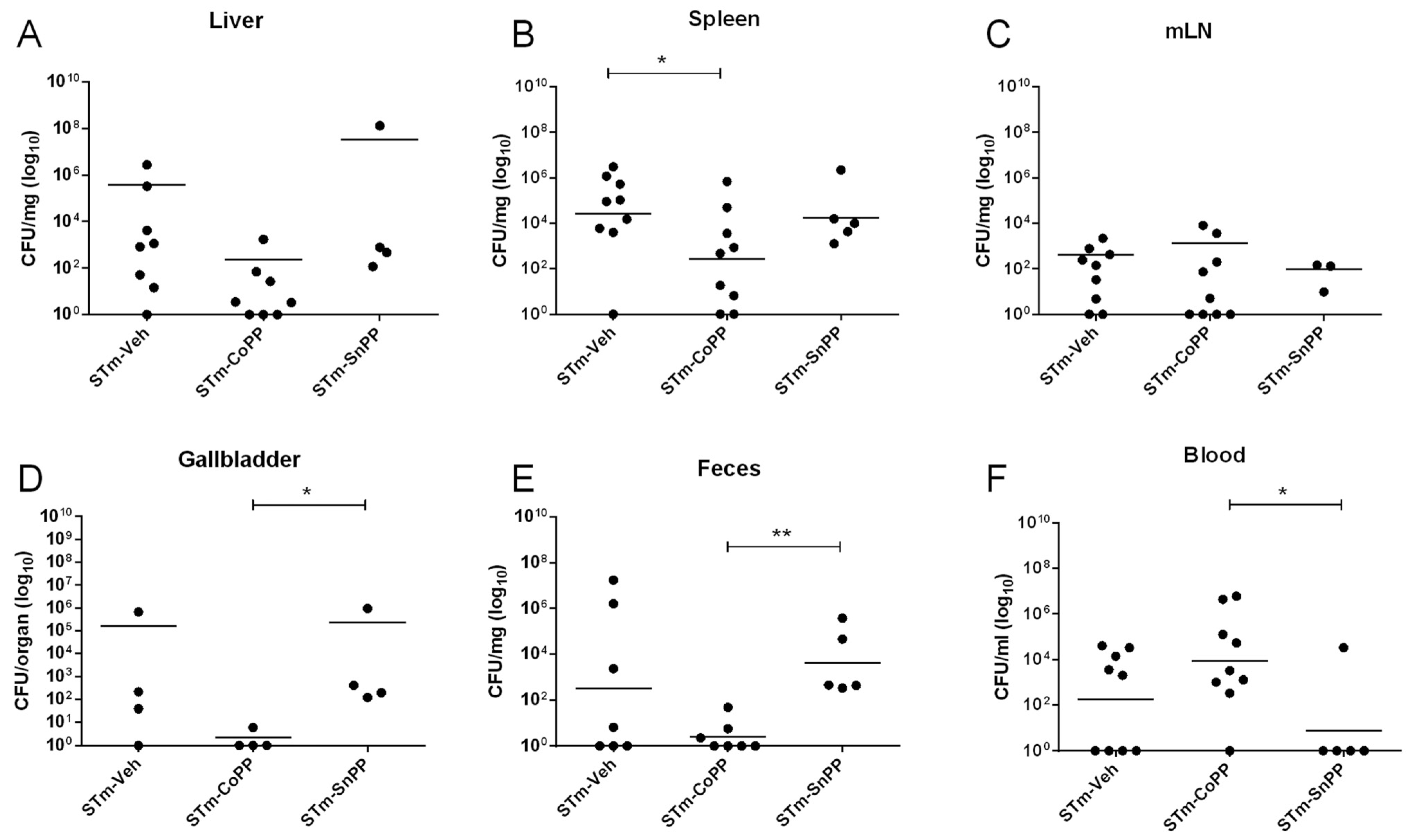 Antioxidants 11 01040 g002