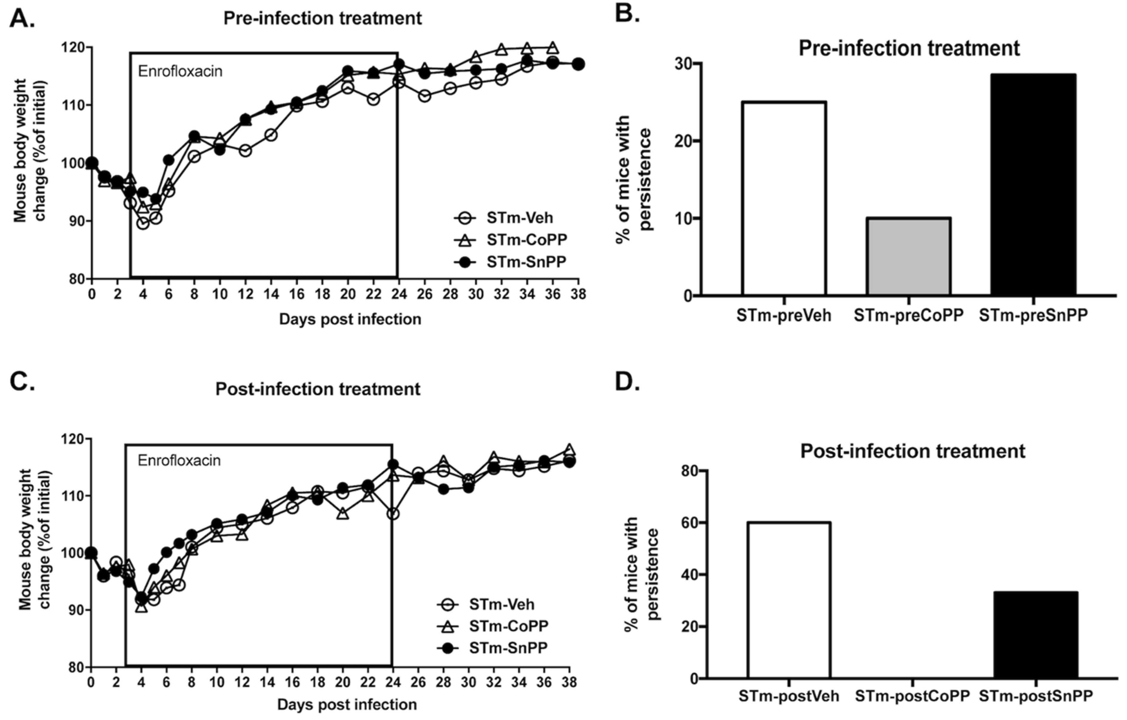 Antioxidants 11 01040 g003