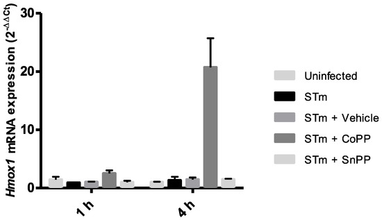 Antioxidants 11 01040 g0a3 550
