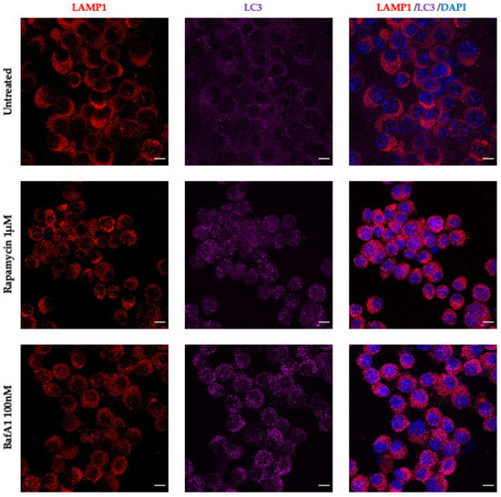 Antioxidants 11 01040 g0a4 550
