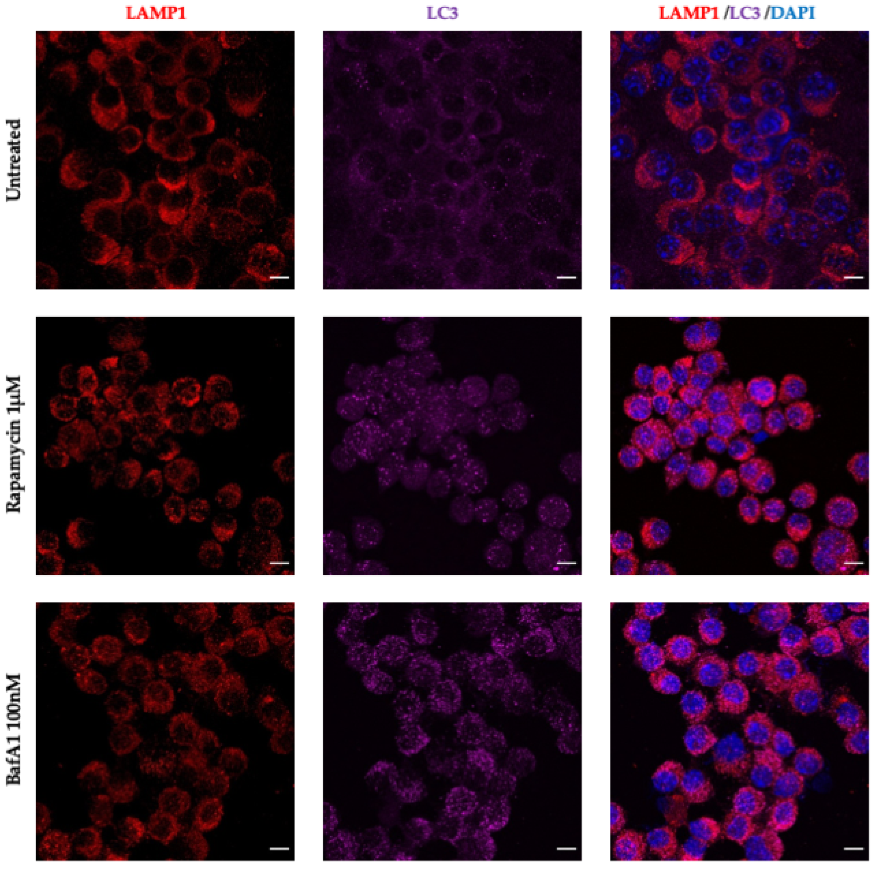 Antioxidants 11 01040 g0a4