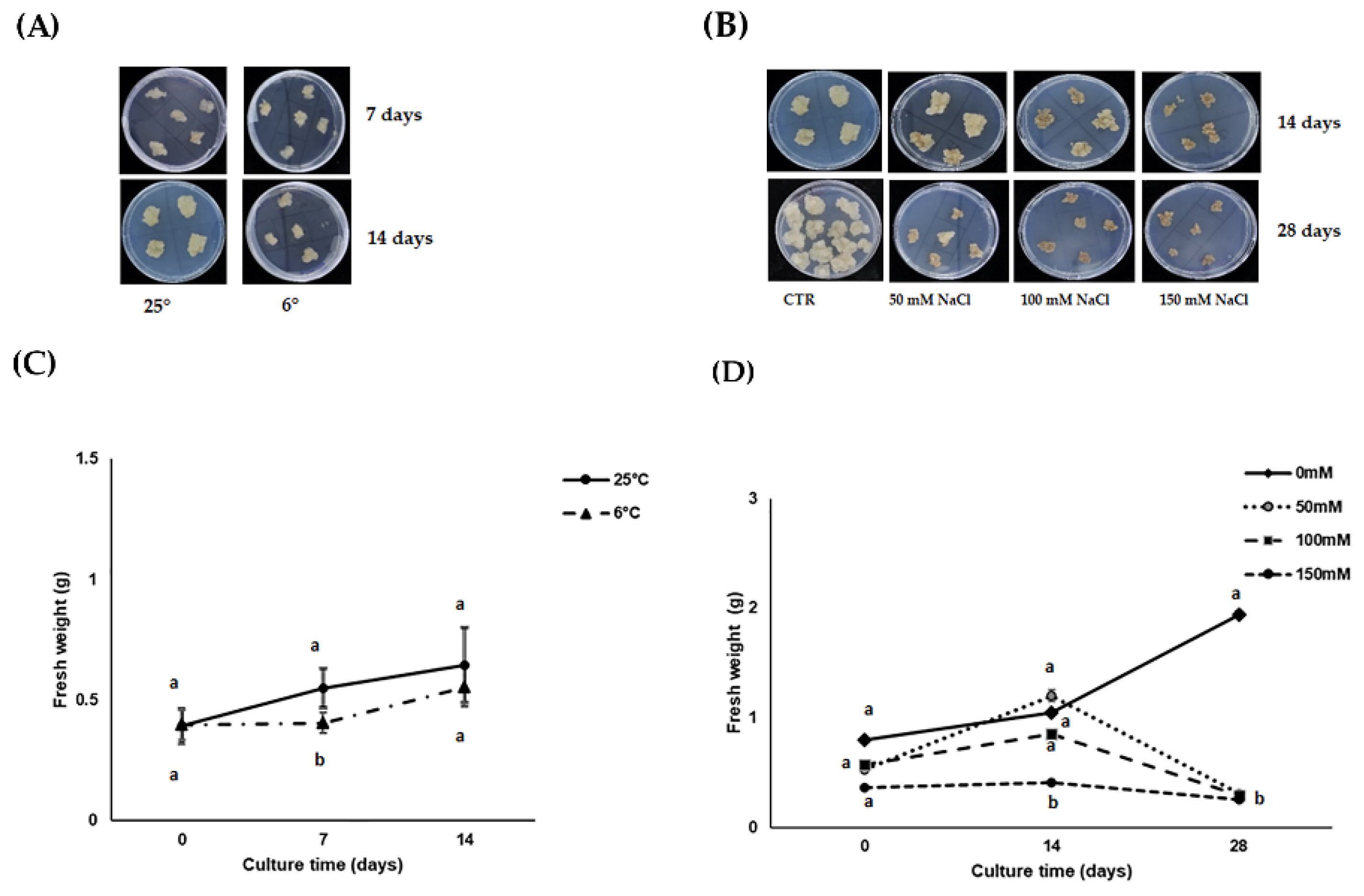 Antioxidants 11 01041 g001