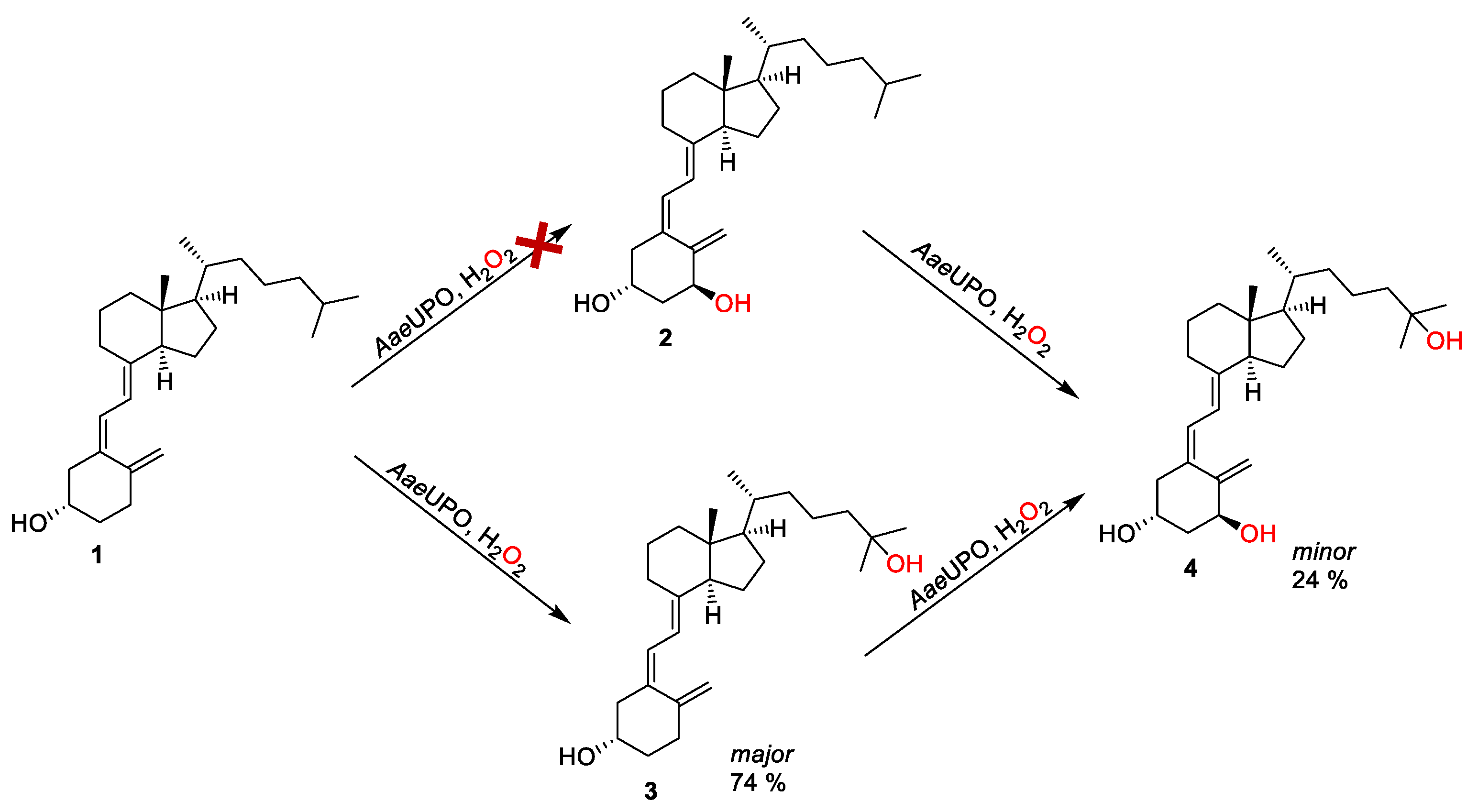 Antioxidants 11 01044 g003