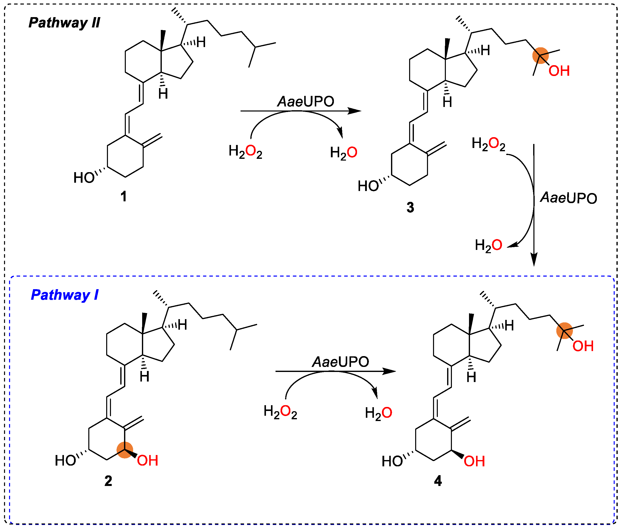 Antioxidants 11 01044 sch001