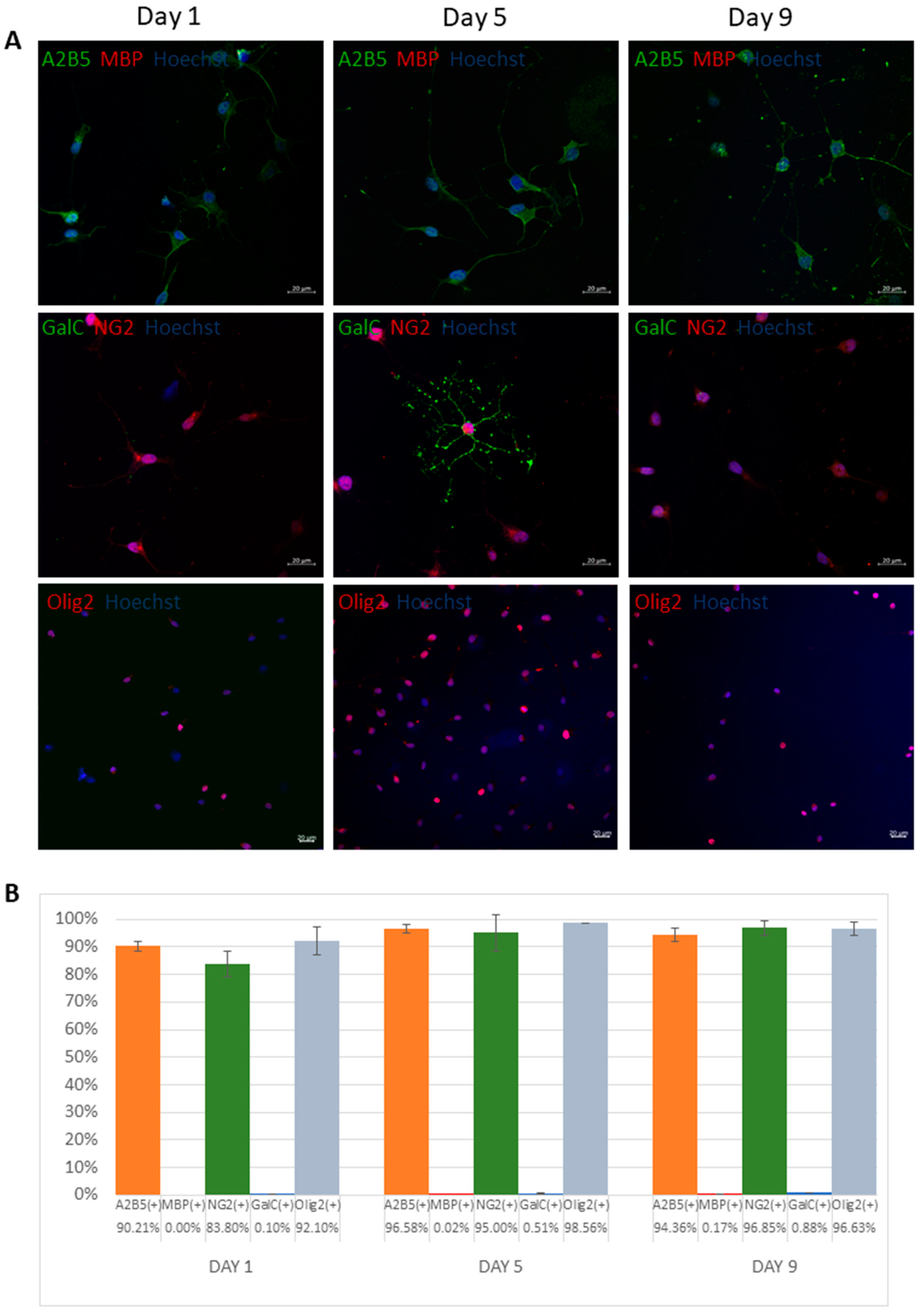 Antioxidants 11 01050 g001