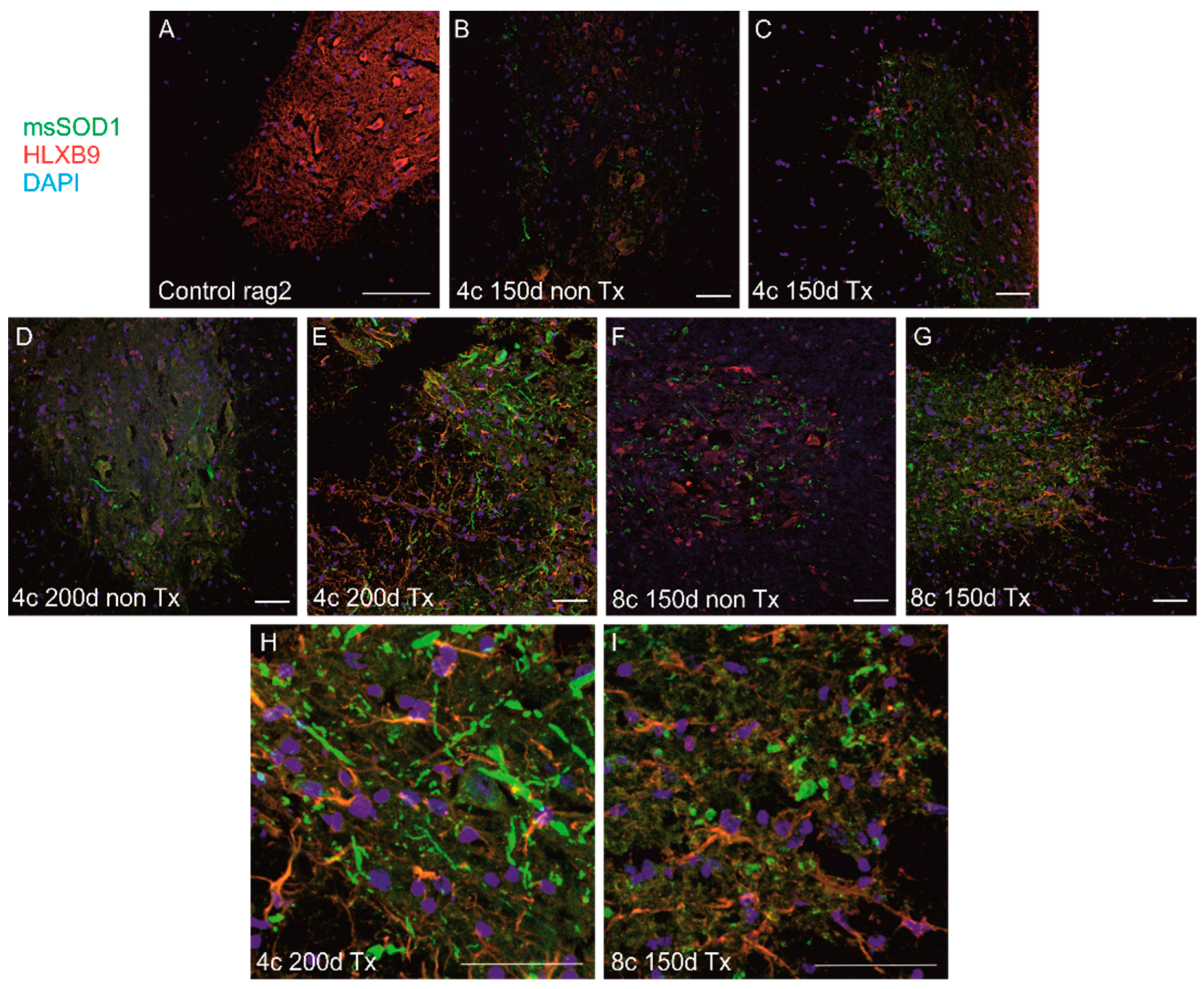 Antioxidants 11 01050 g006