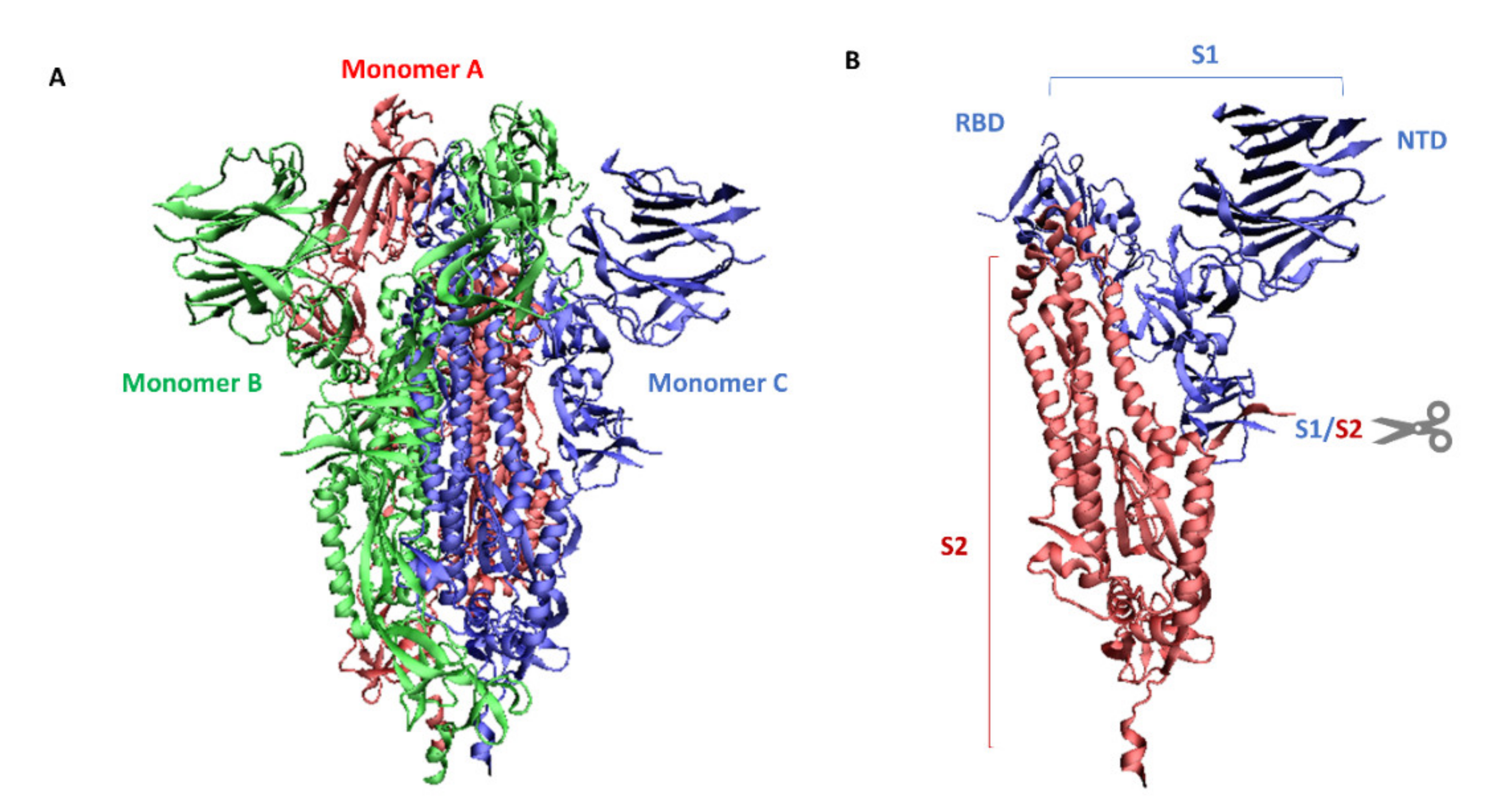 Antioxidants 11 01053 g002