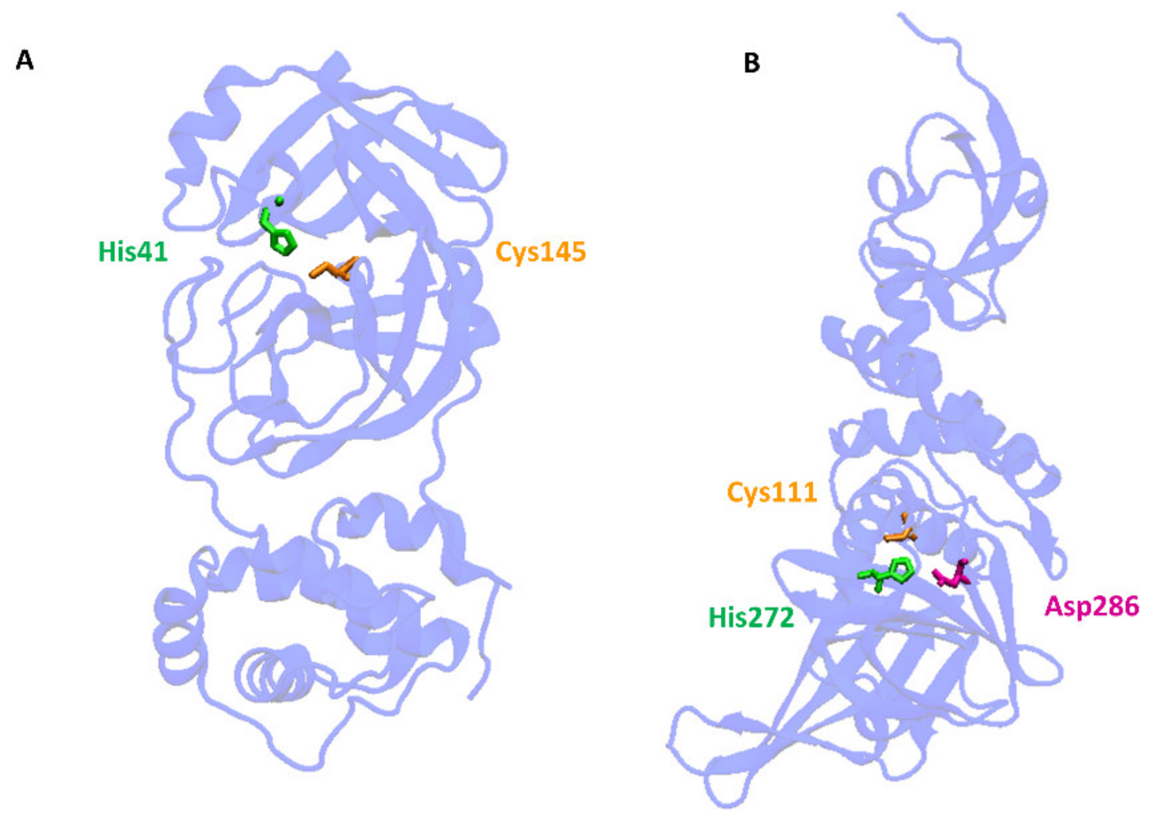 Antioxidants 11 01053 g003