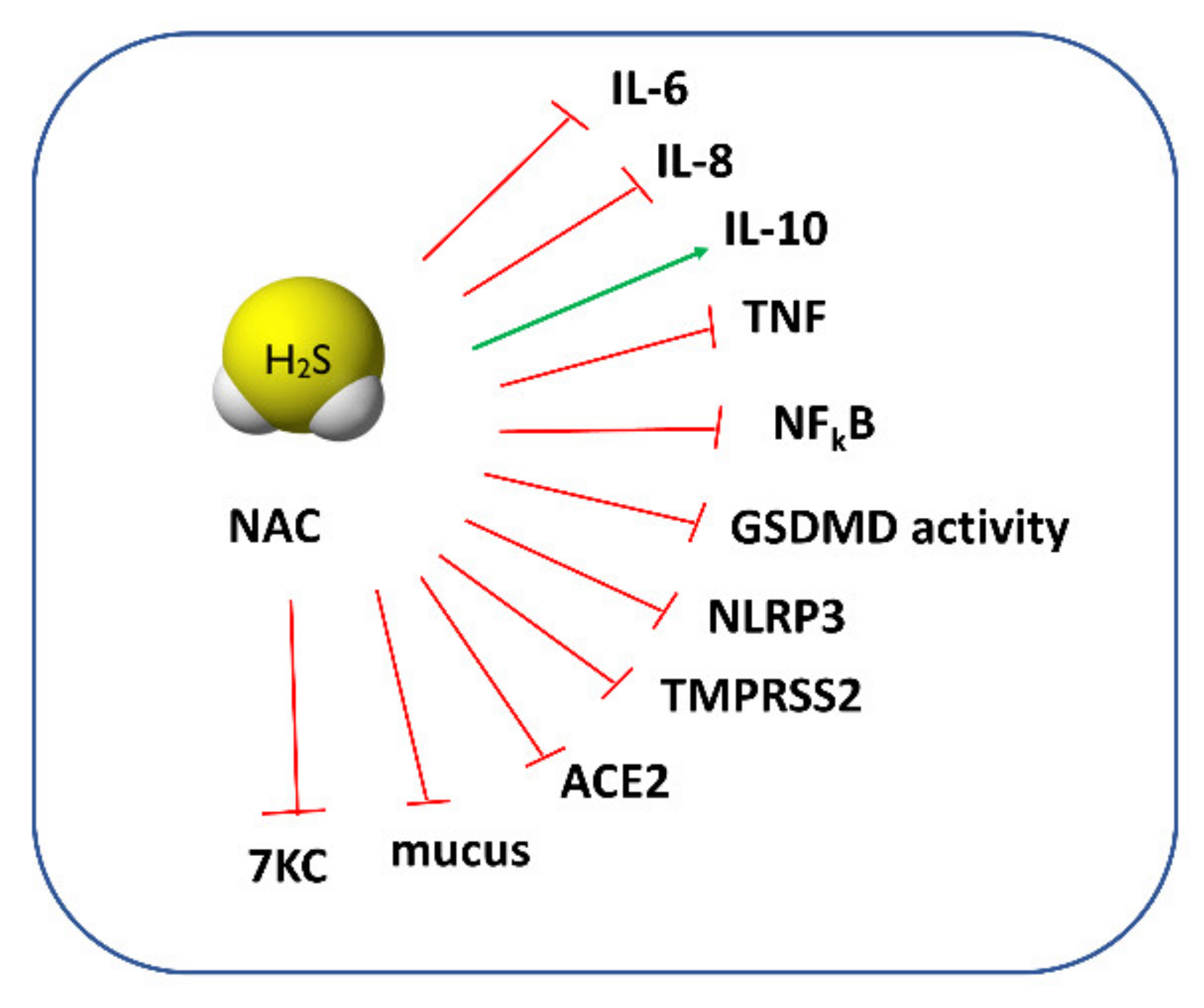 Antioxidants 11 01053 g005