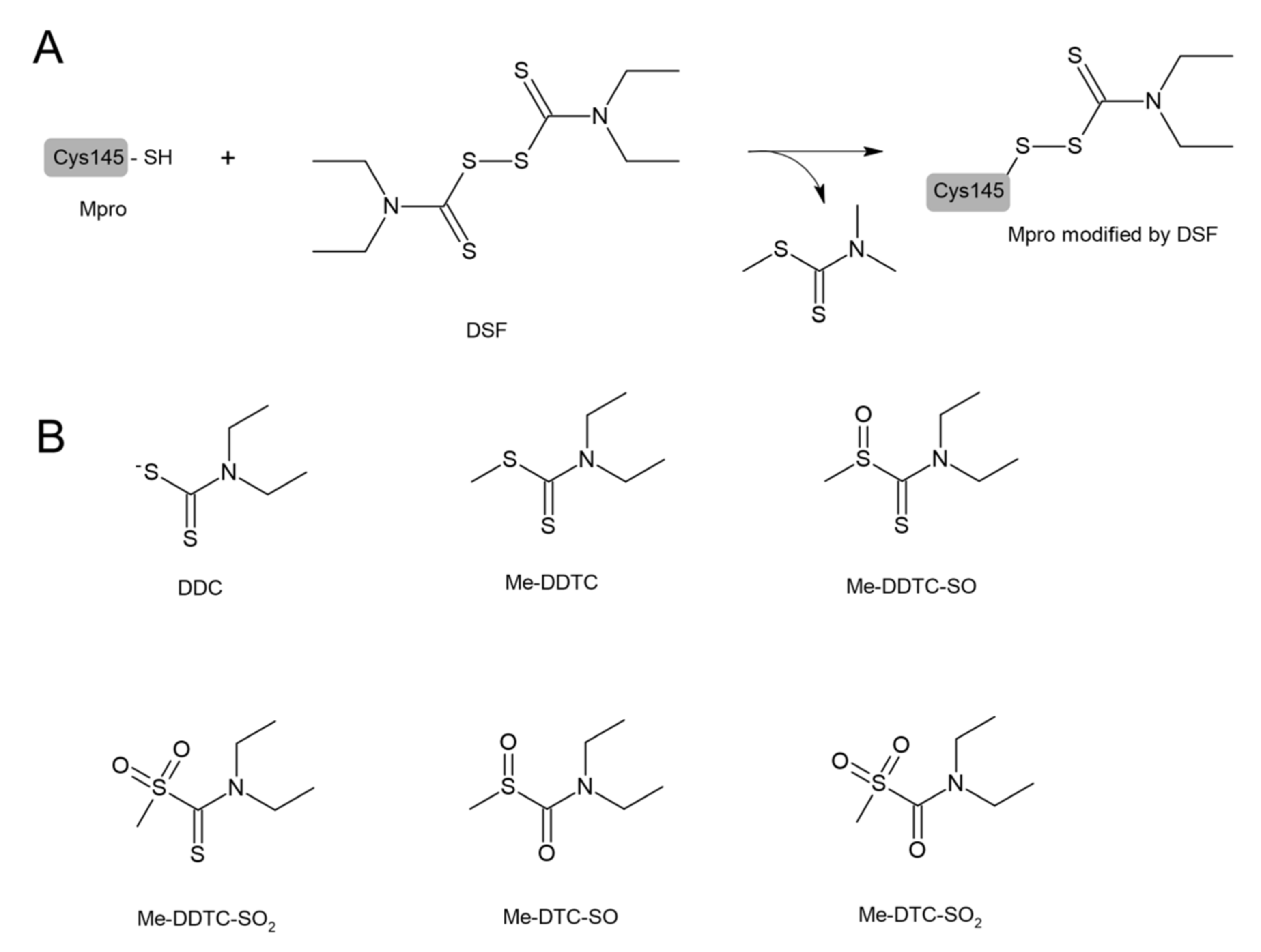 Antioxidants 11 01053 g006