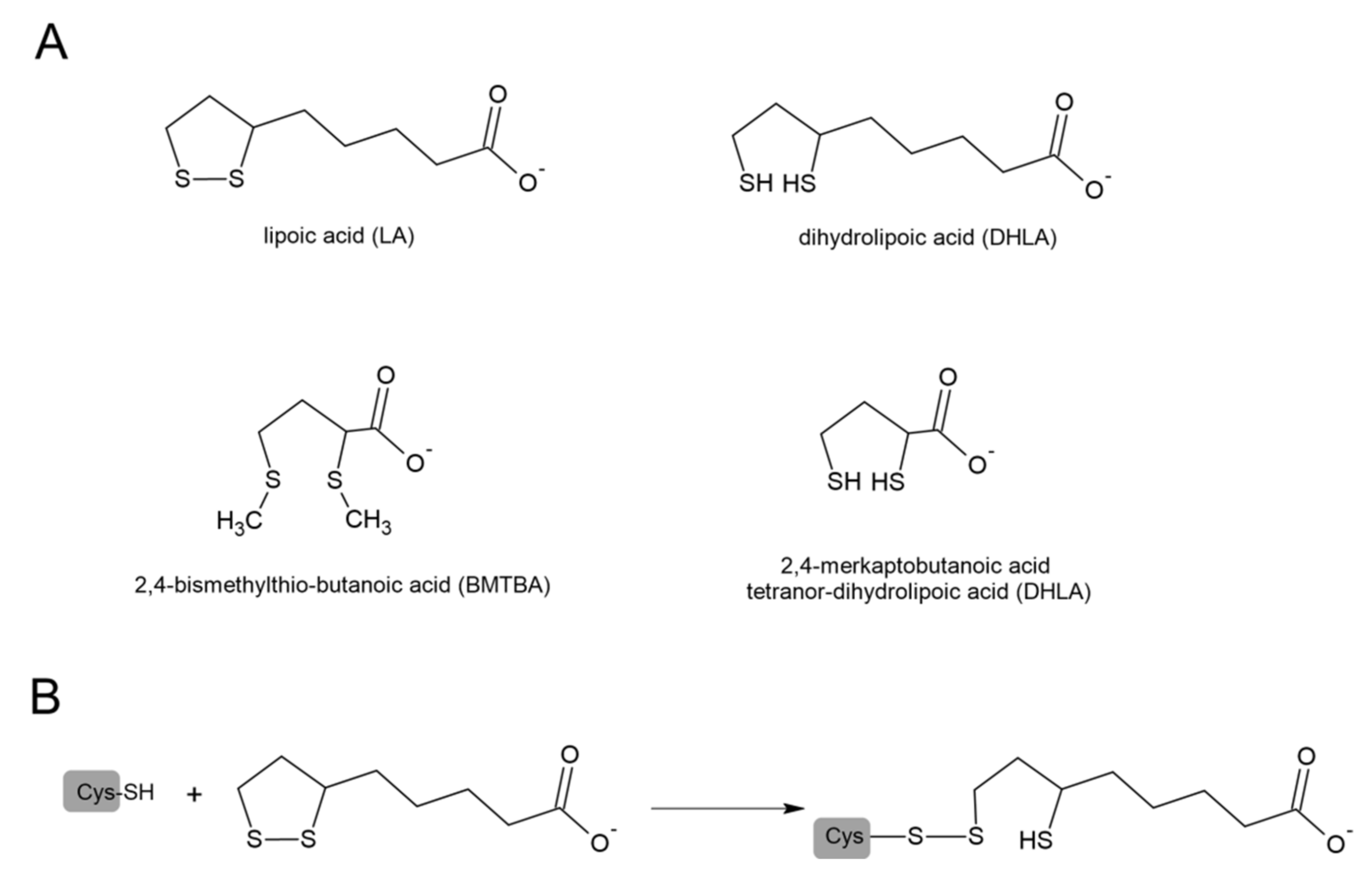 Antioxidants 11 01053 g008