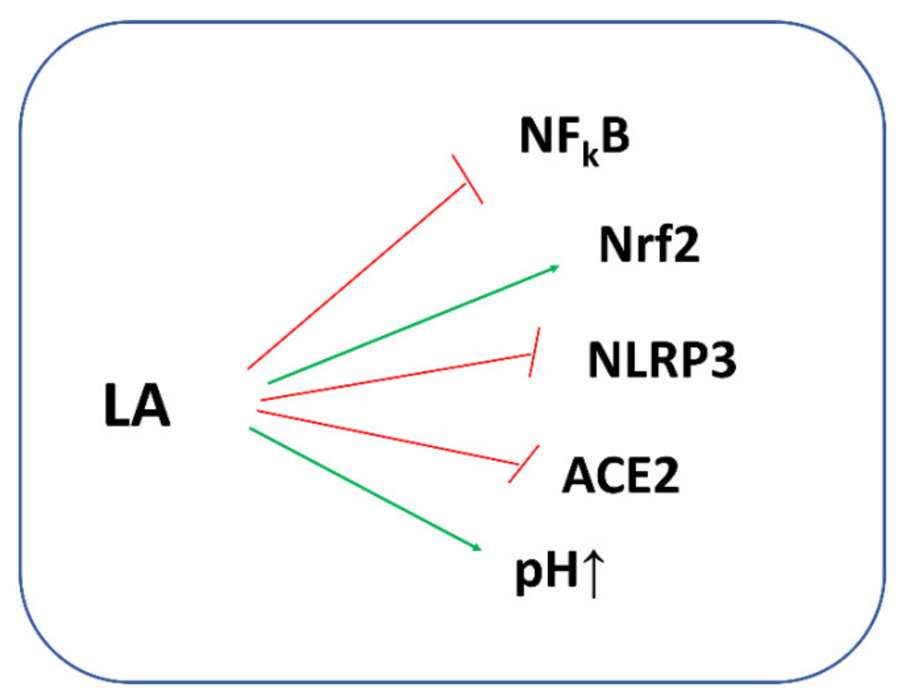 Antioxidants 11 01053 g009