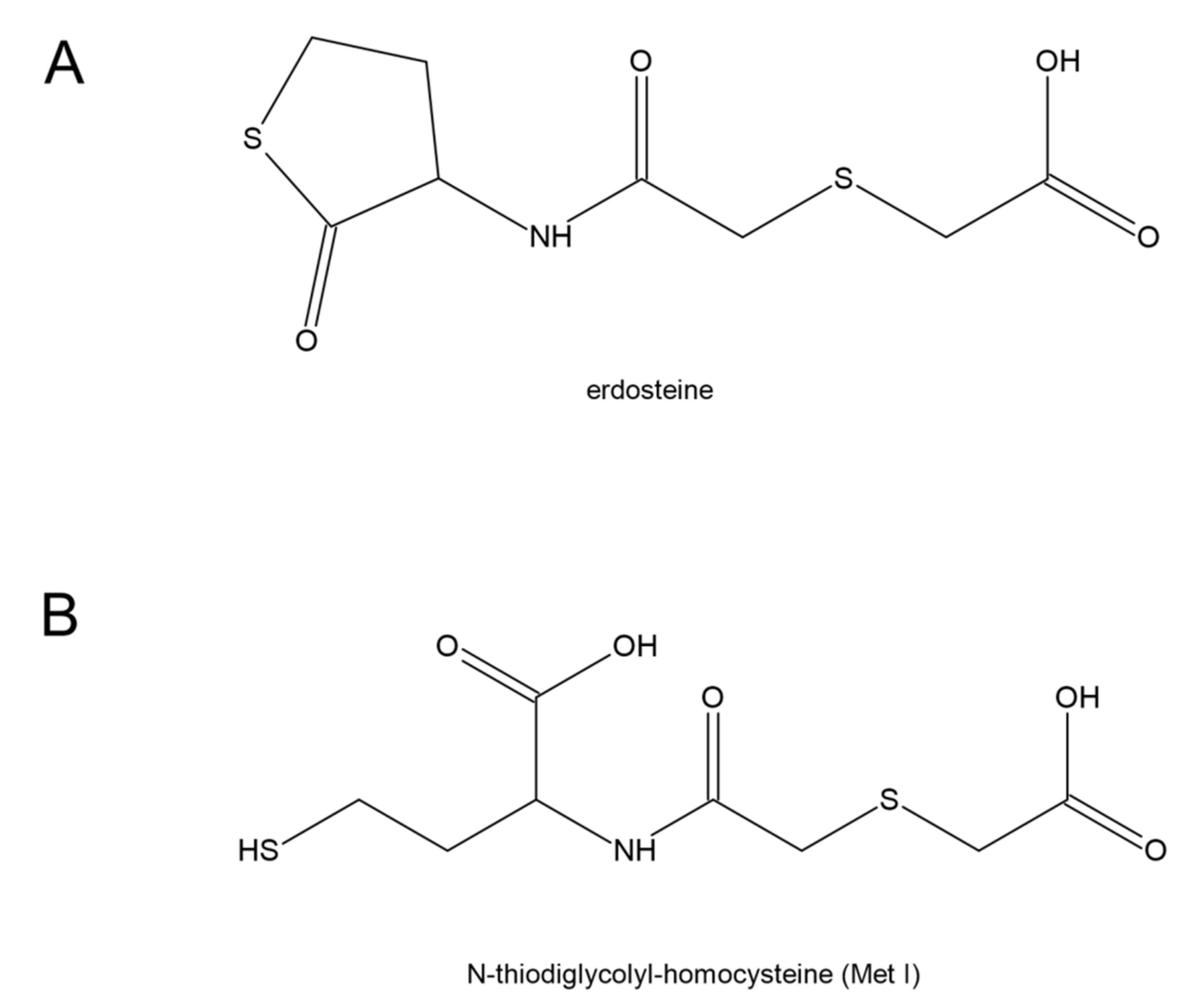 Antioxidants 11 01053 g010