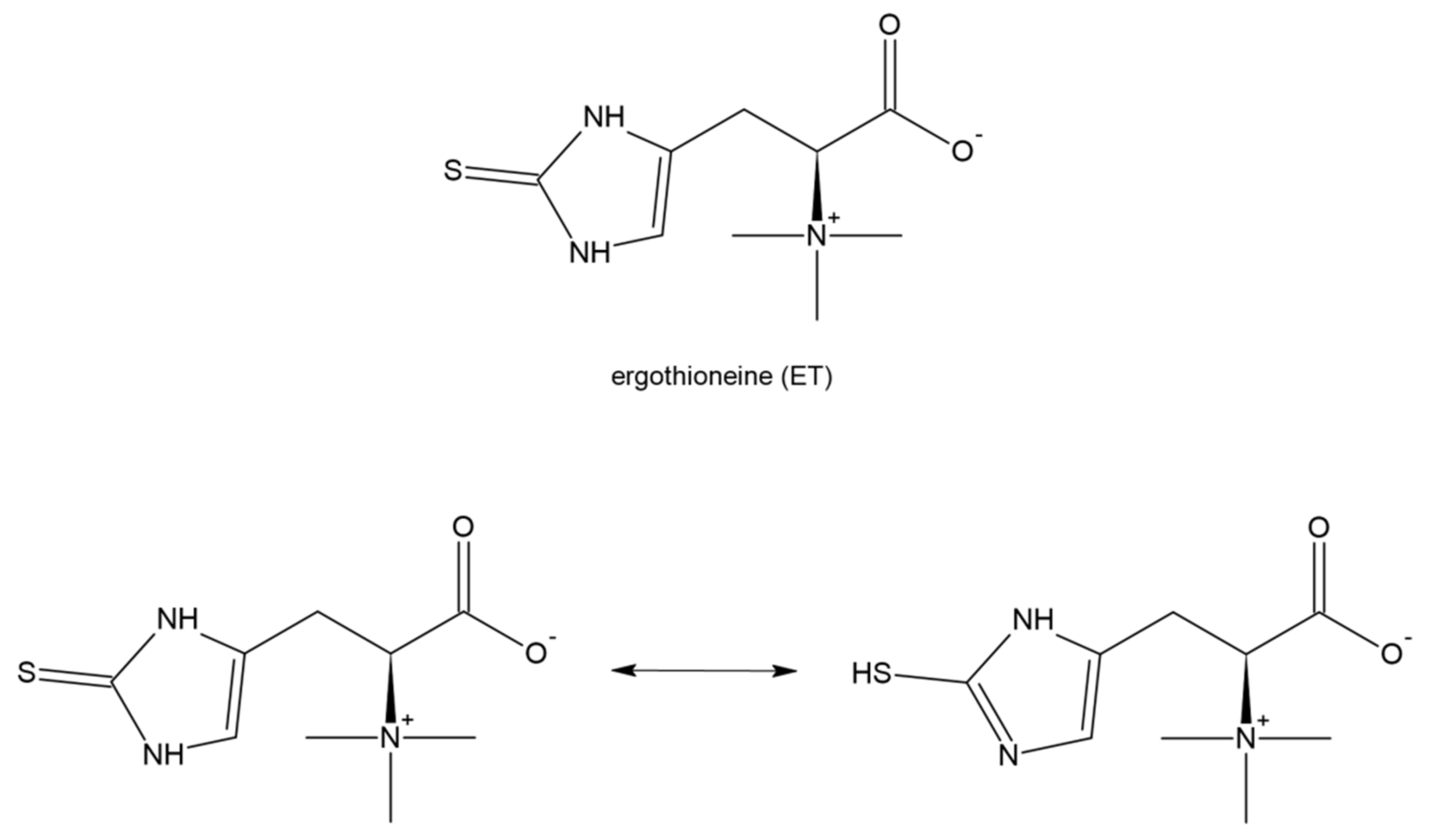 Antioxidants 11 01053 g011