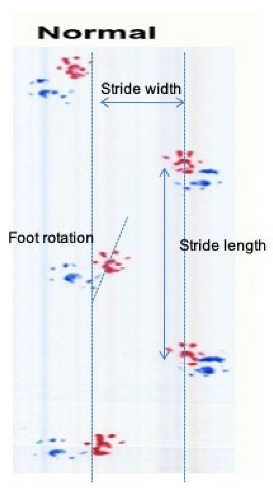Antioxidants 11 01062 g002