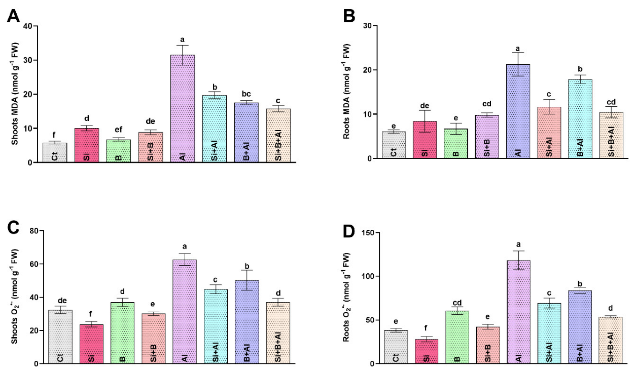 Antioxidants 11 01063 g002