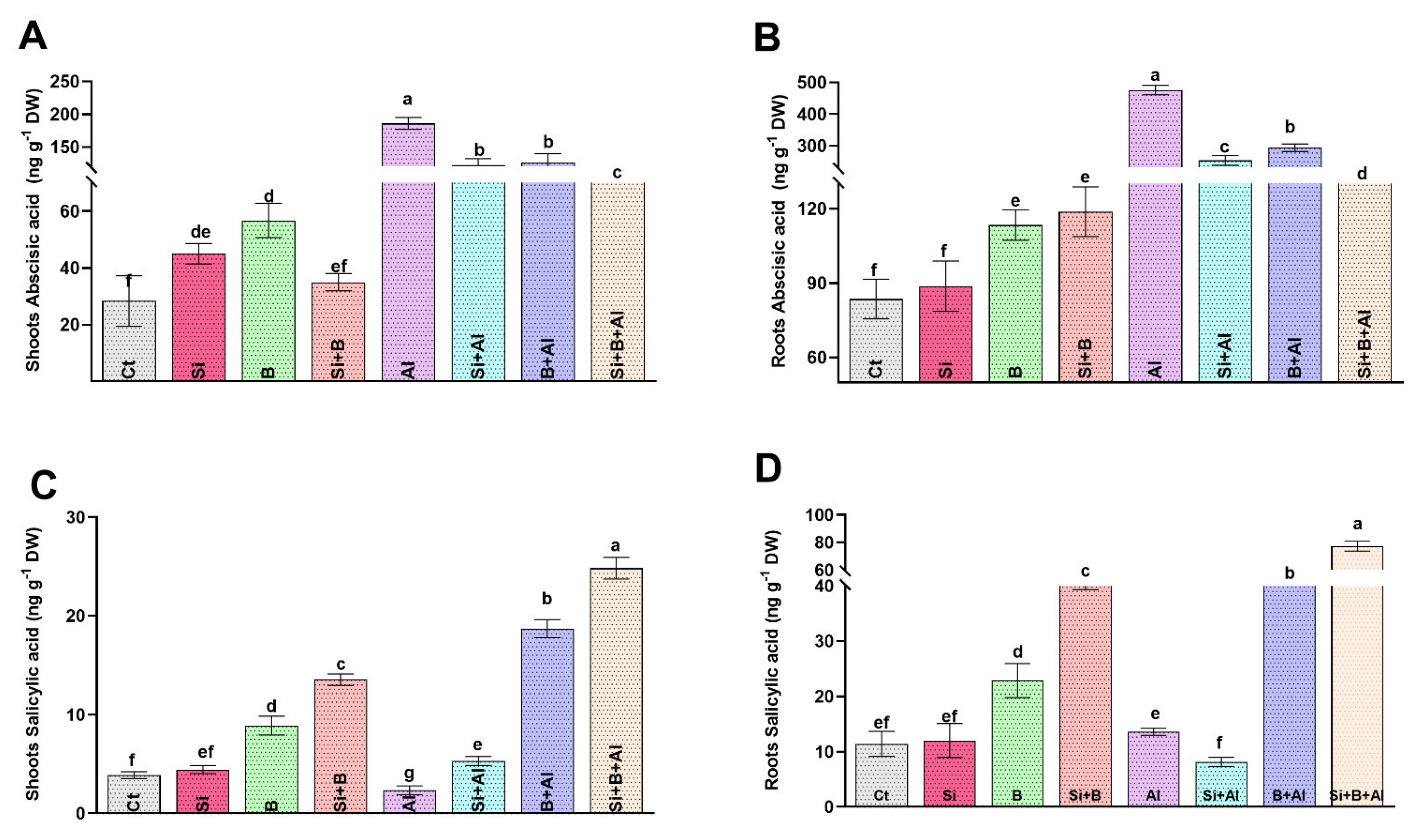 Antioxidants 11 01063 g004