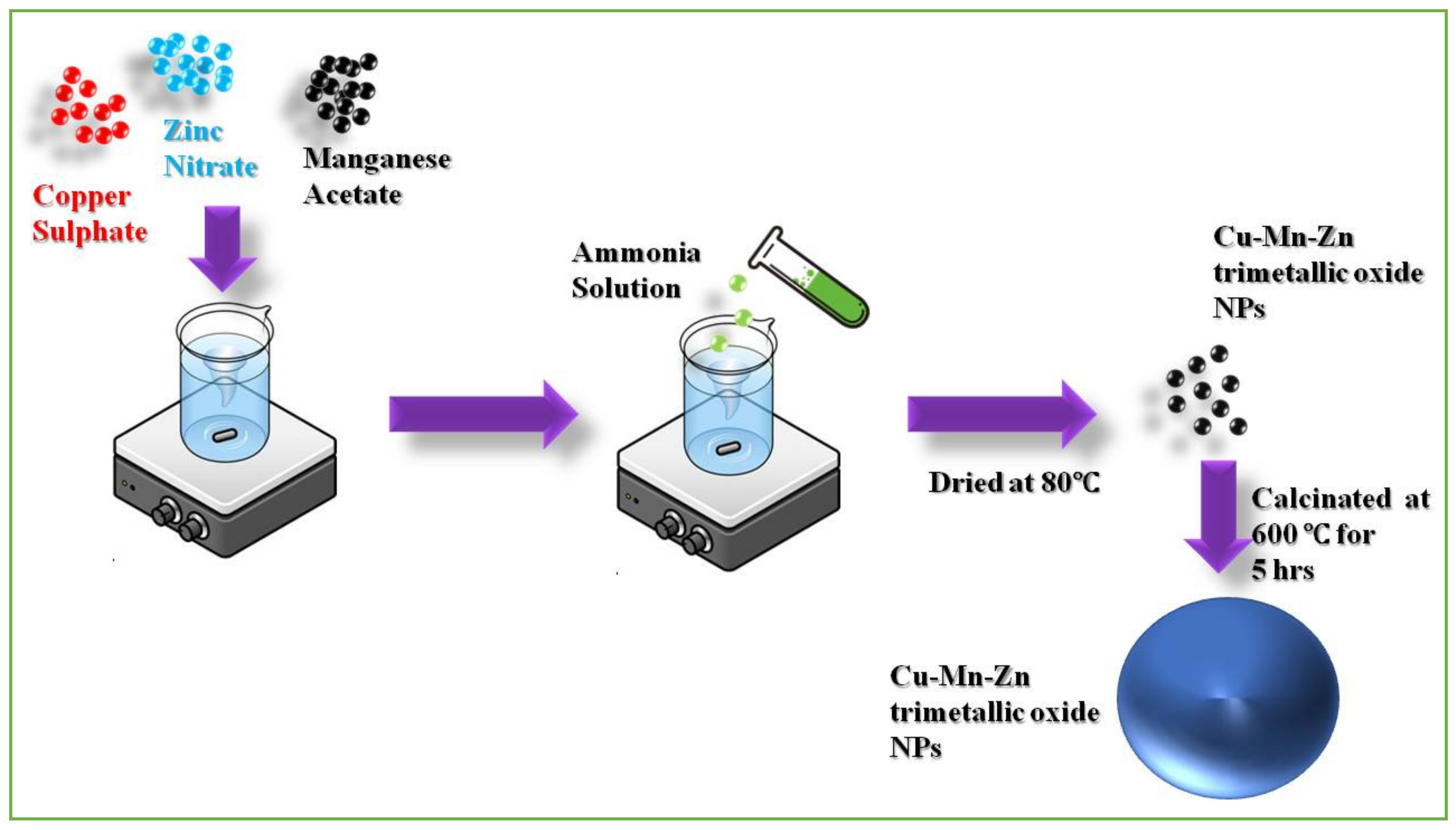 Antioxidants 11 01064 g001 Antioxidants 11 01064 g001