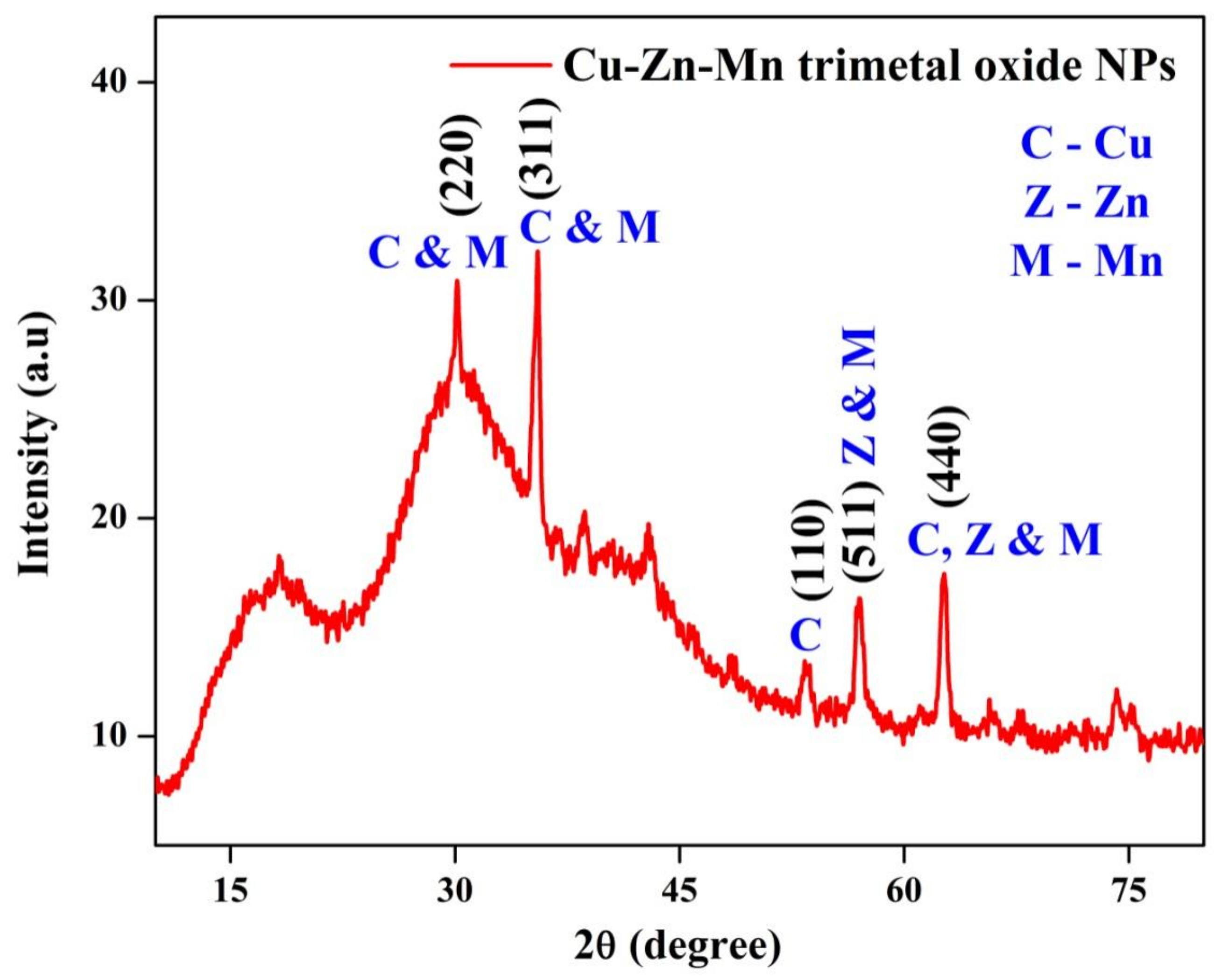 Antioxidants 11 01064 g002 Antioxidants 11 01064 g002