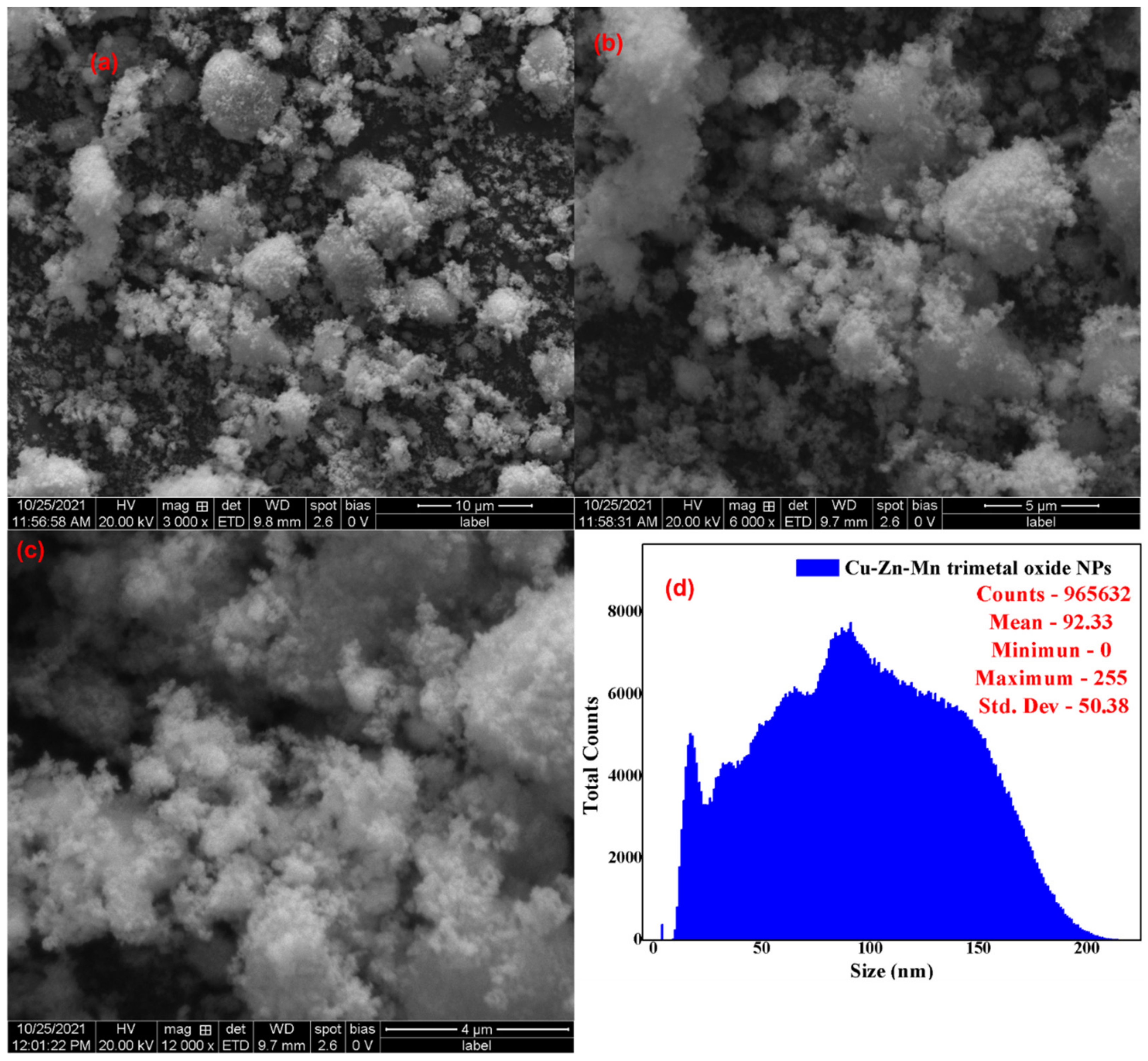 Antioxidants 11 01064 g003 Antioxidants 11 01064 g003