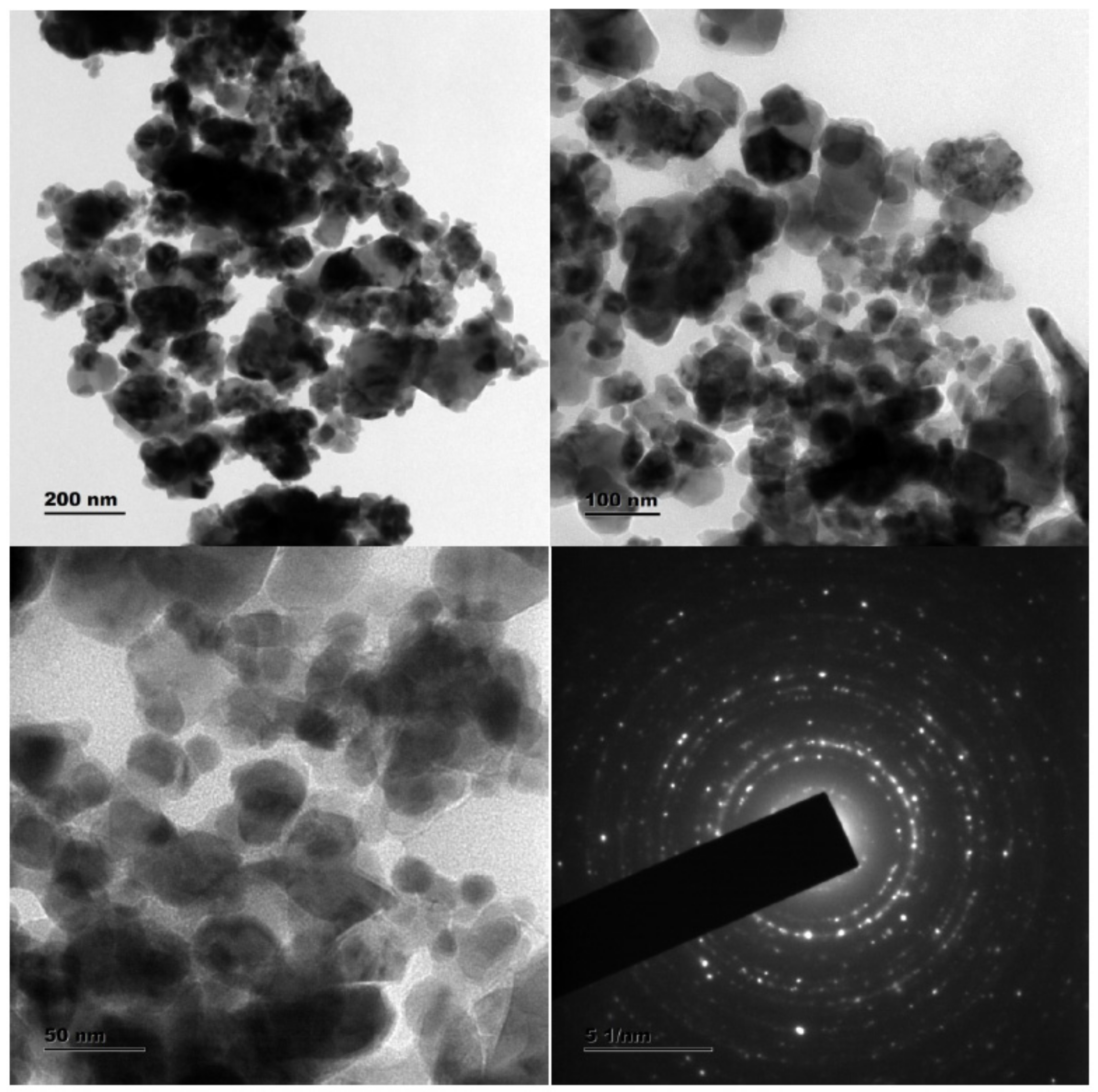 Antioxidants 11 01064 g005 Antioxidants 11 01064 g005