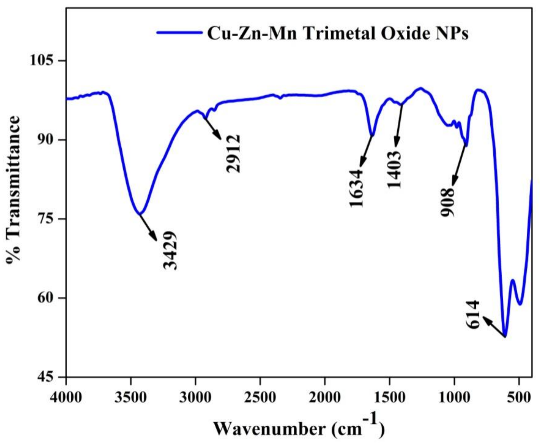 Antioxidants 11 01064 g009 Antioxidants 11 01064 g009