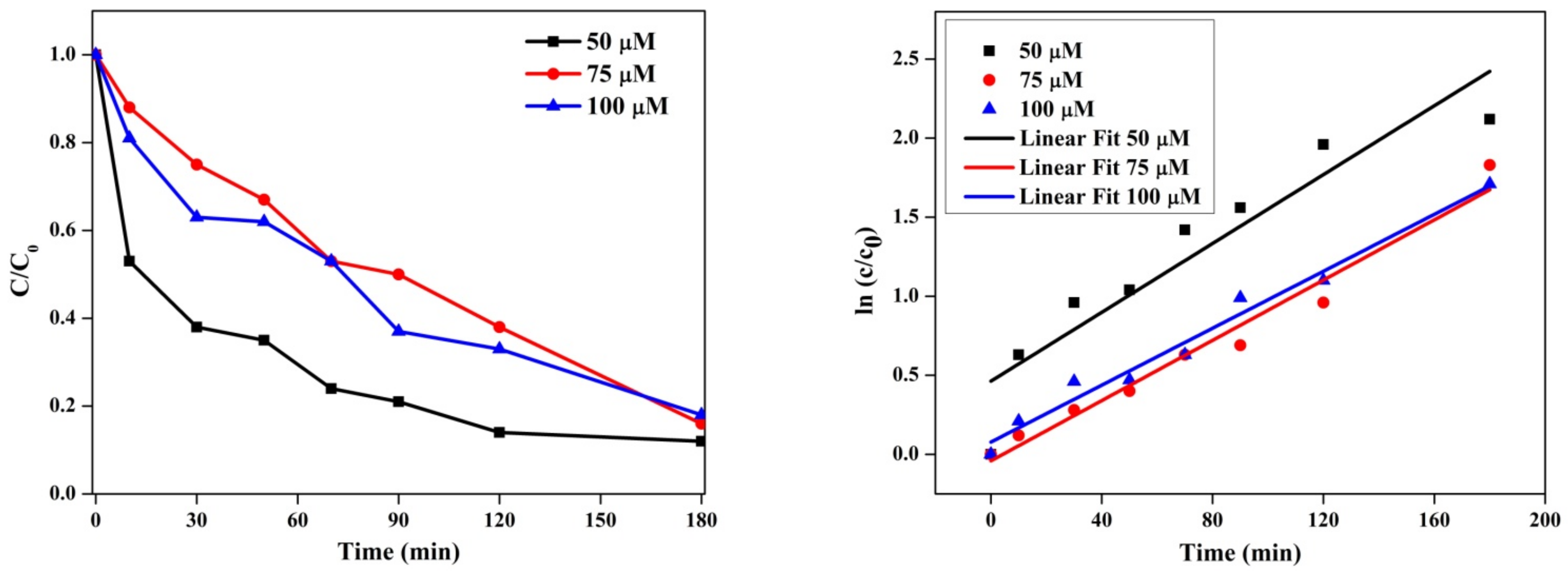 Antioxidants 11 01064 g013 Antioxidants 11 01064 g013