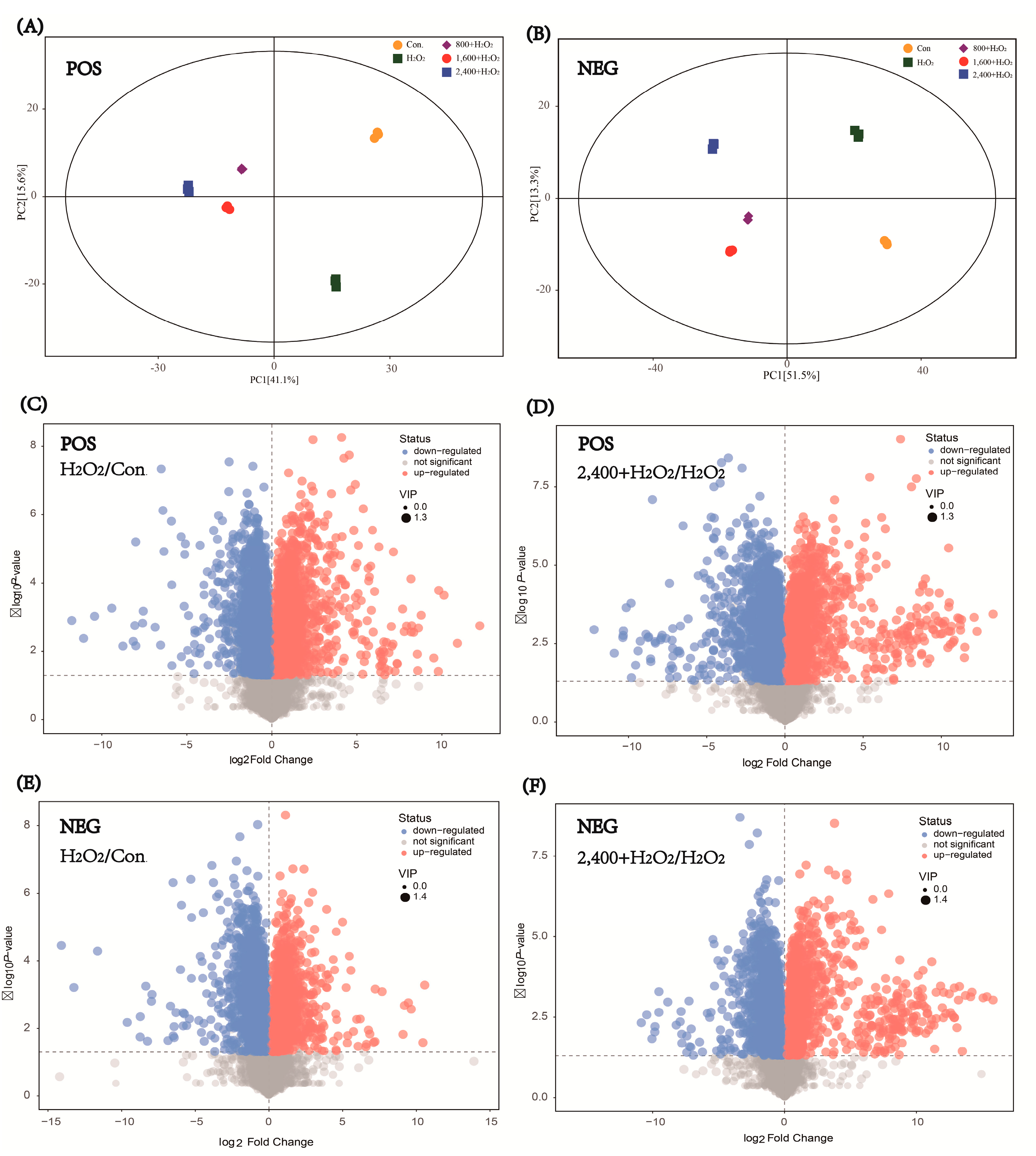 Antioxidants 11 01068 g005