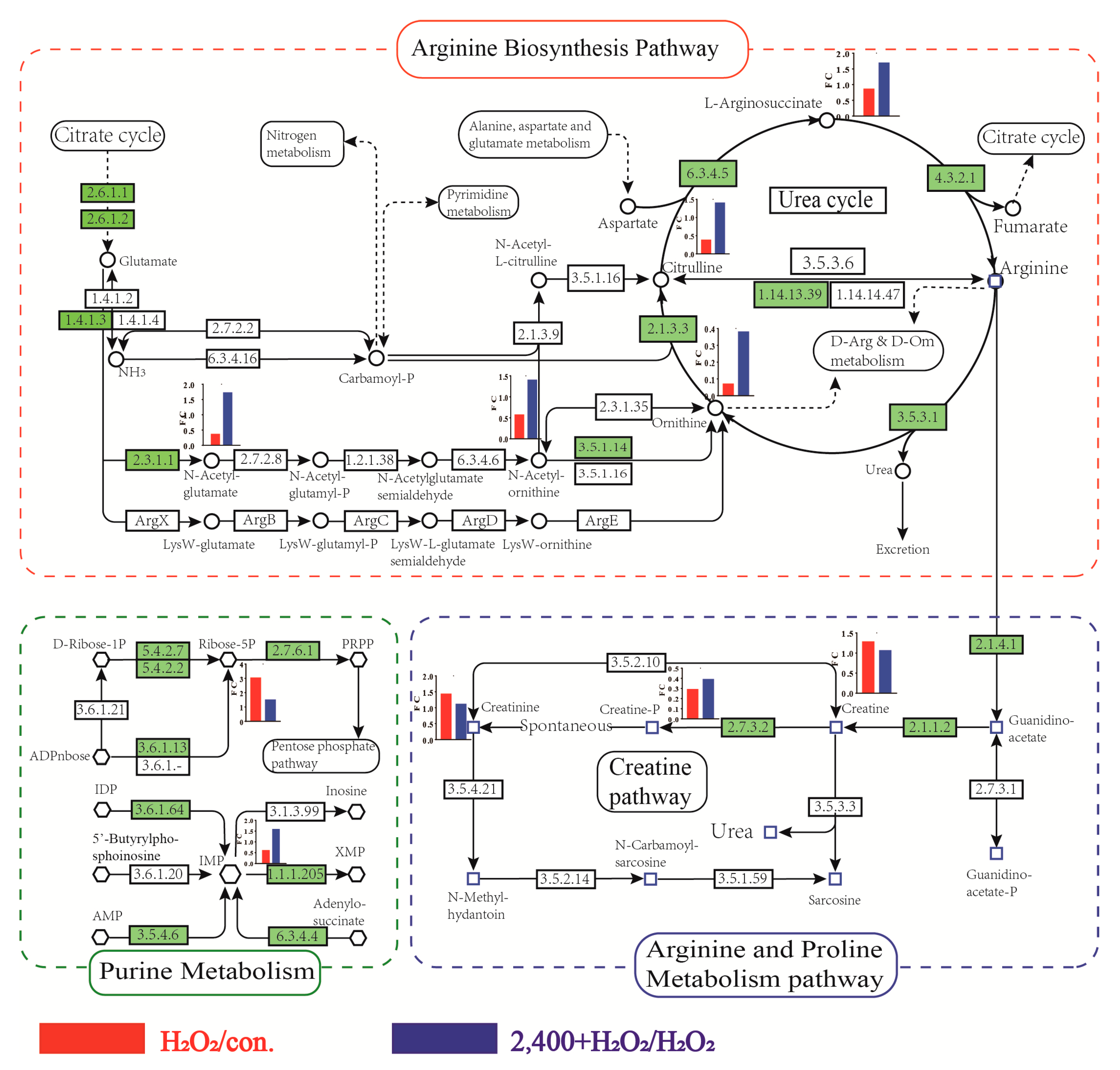 Antioxidants 11 01068 g007