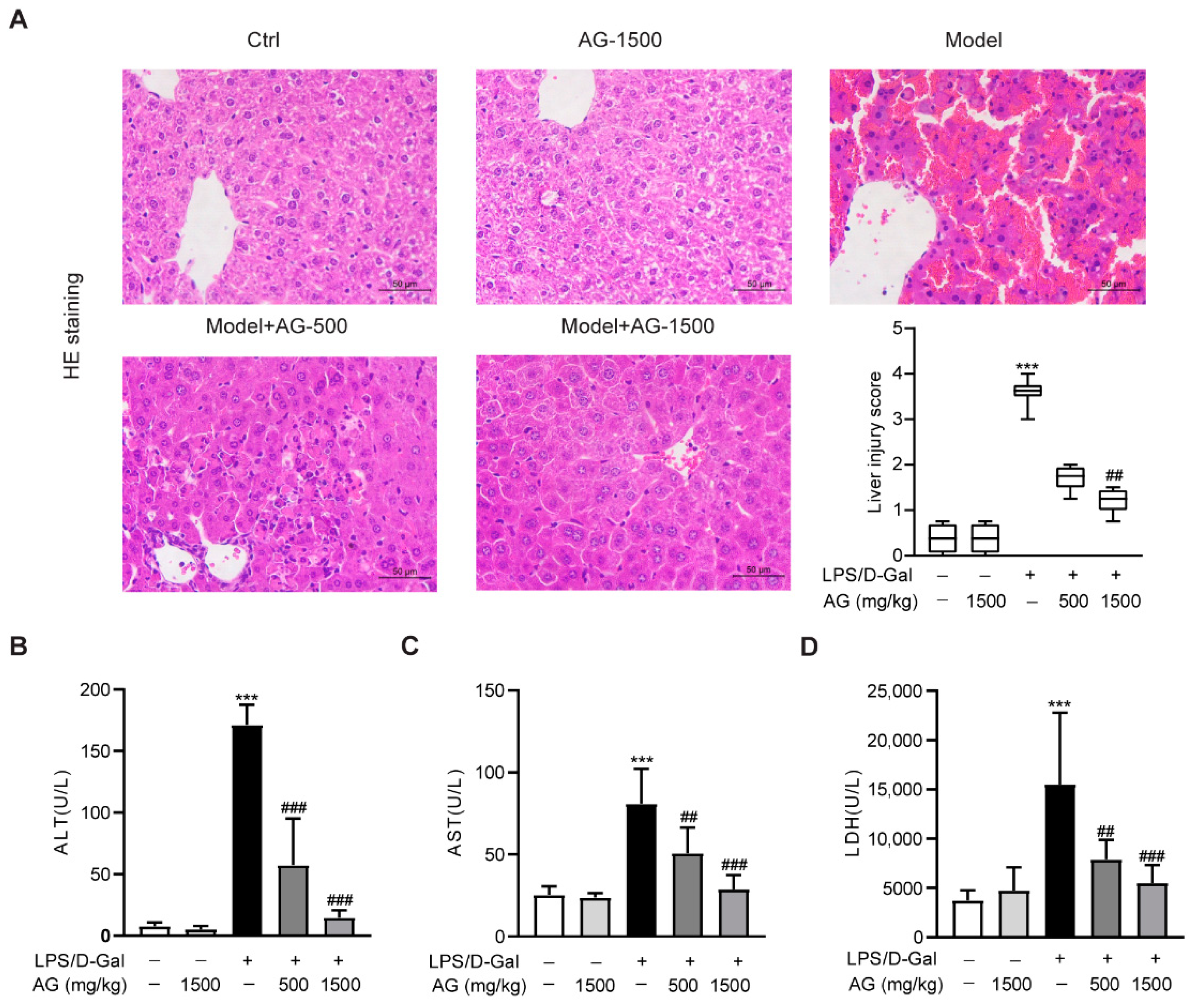 Antioxidants 11 01070 g001