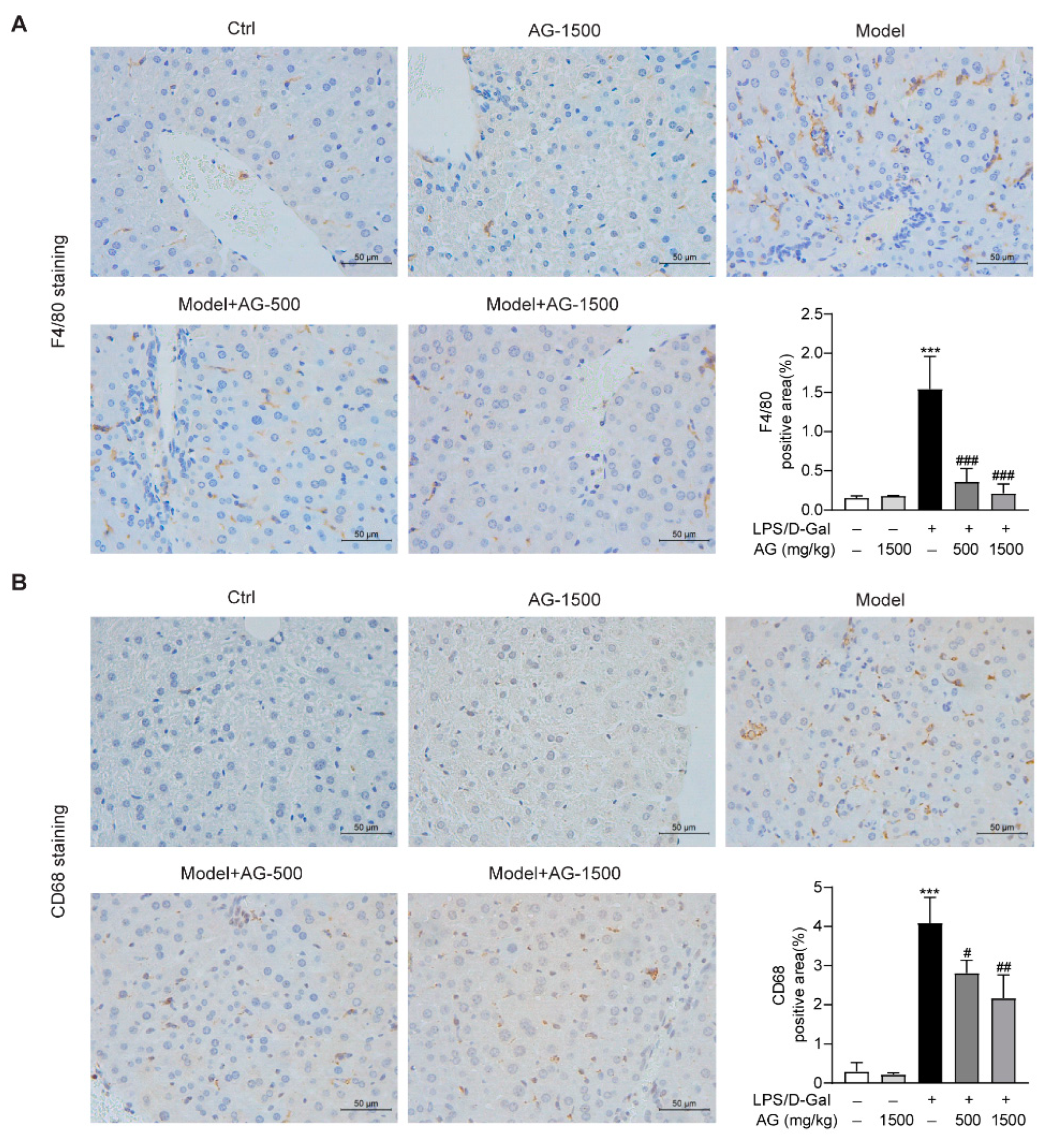 Antioxidants 11 01070 g004