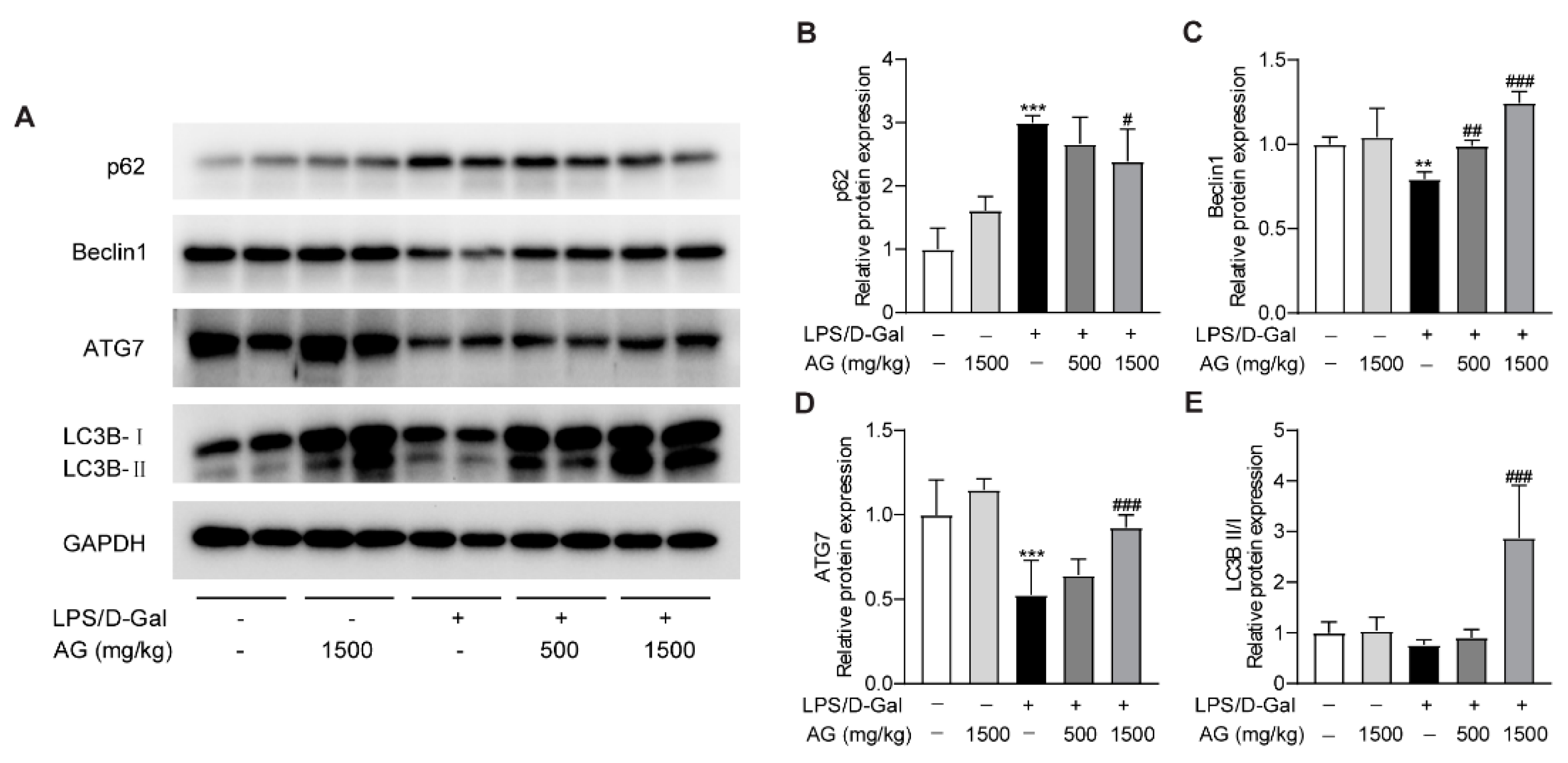 Antioxidants 11 01070 g006