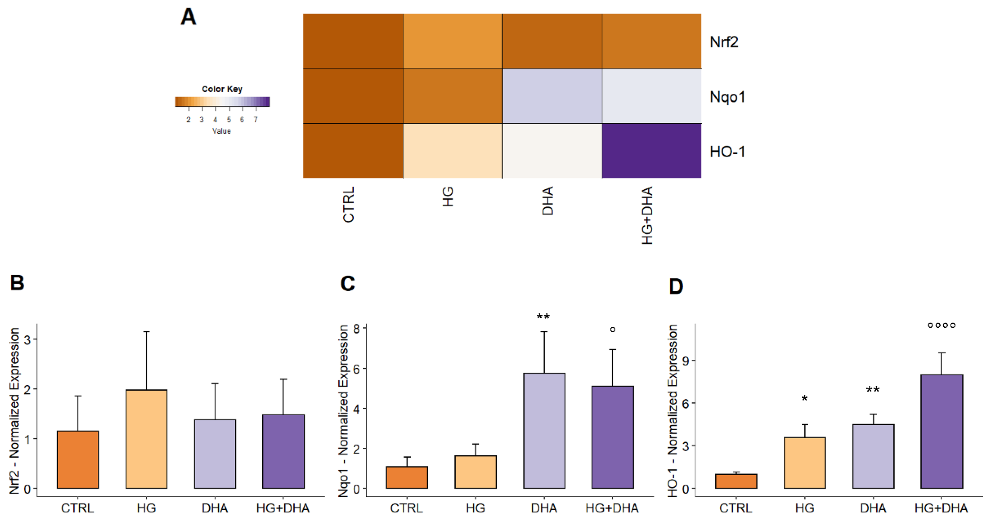 Antioxidants 11 01072 g003