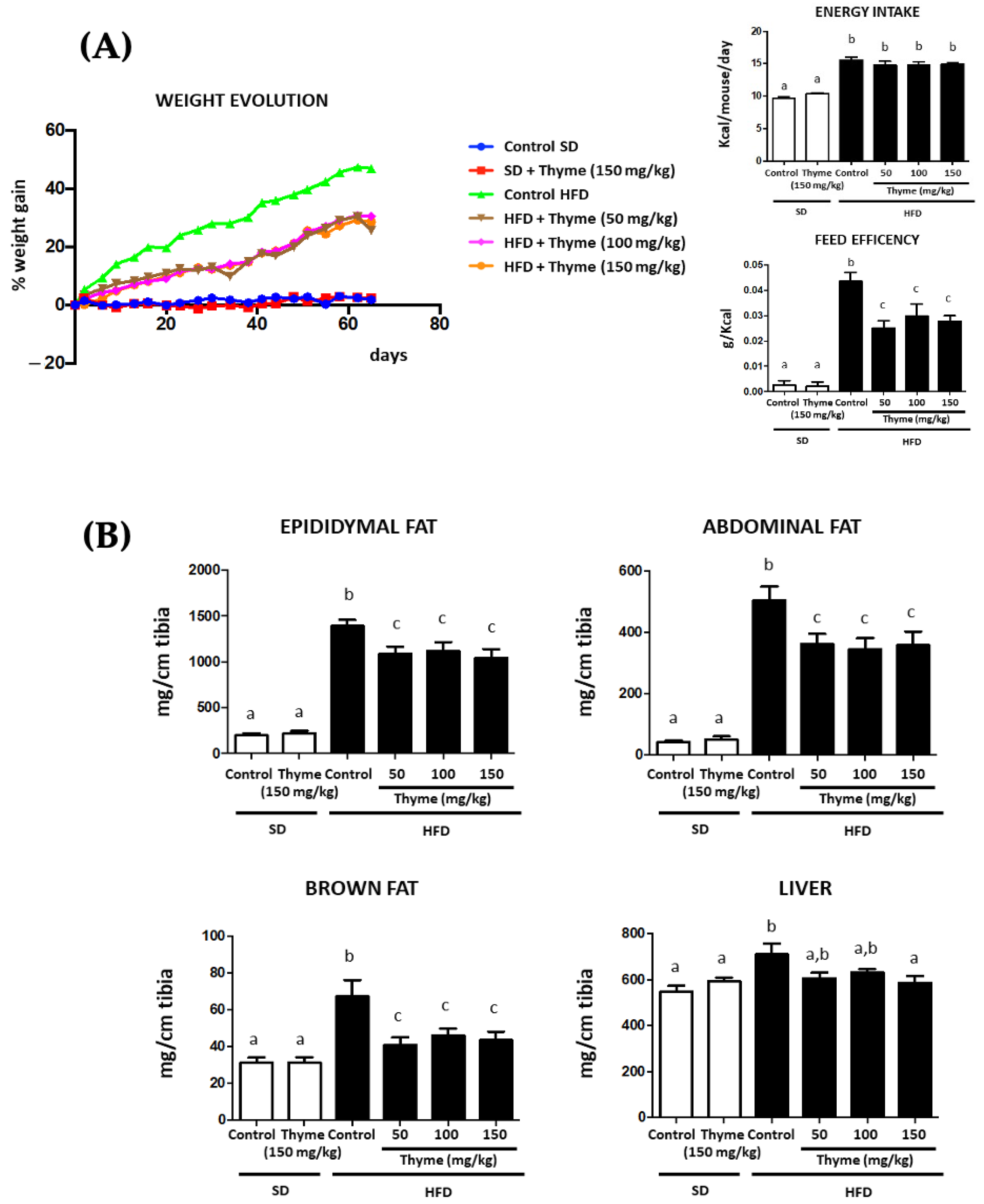 Antioxidants 11 01073 g002
