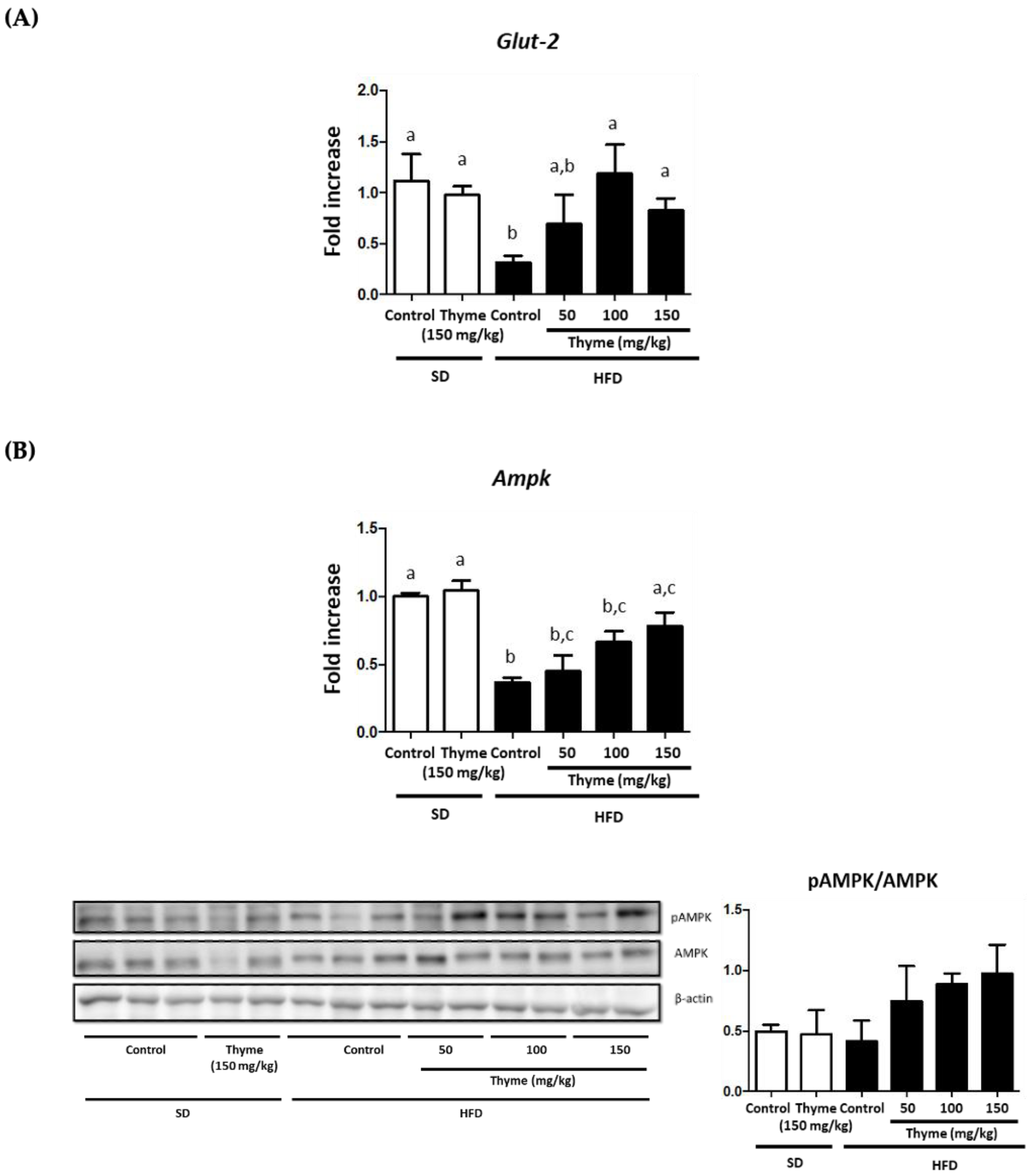 Antioxidants 11 01073 g007