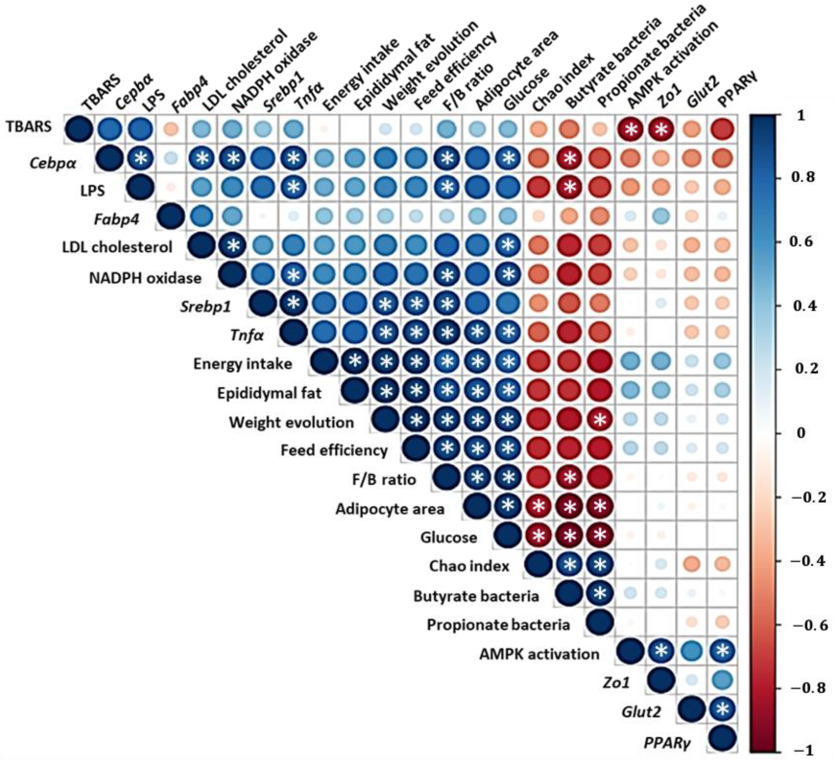 Antioxidants 11 01073 g011