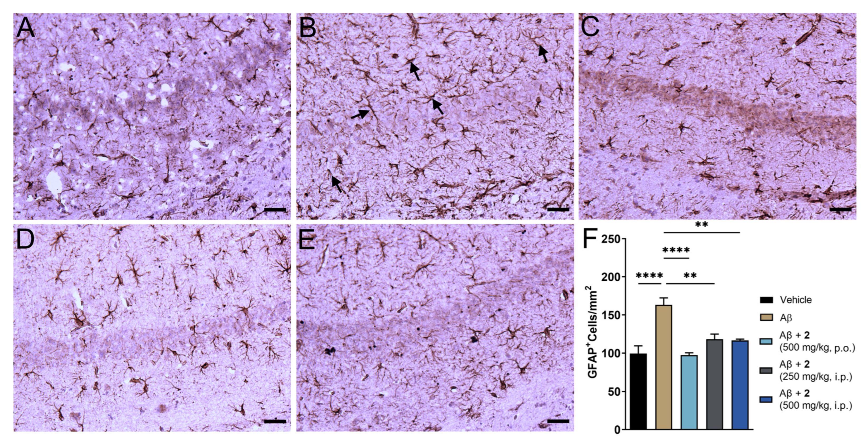 Antioxidants 11 01075 g005