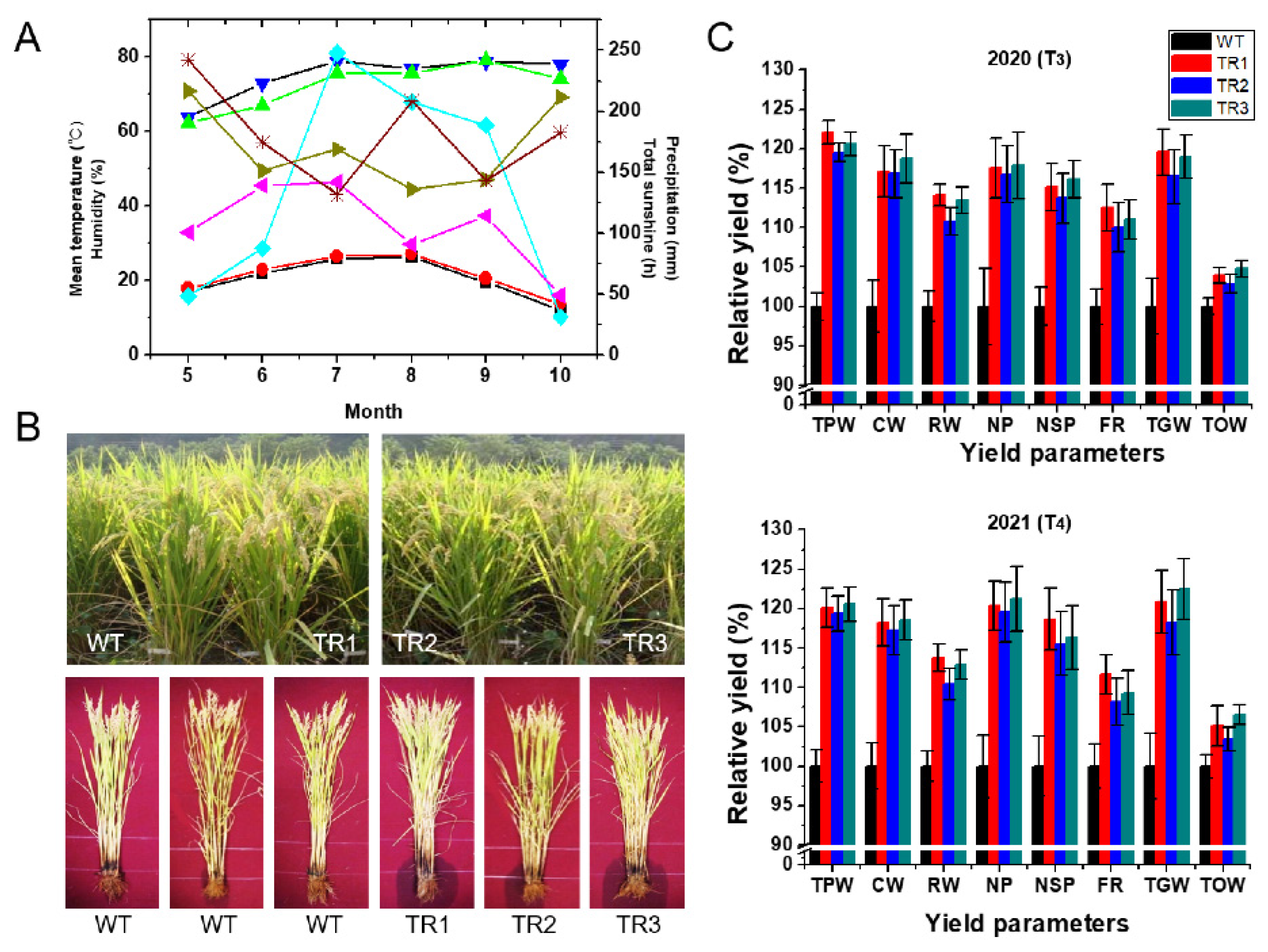 Antioxidants 11 01077 g003