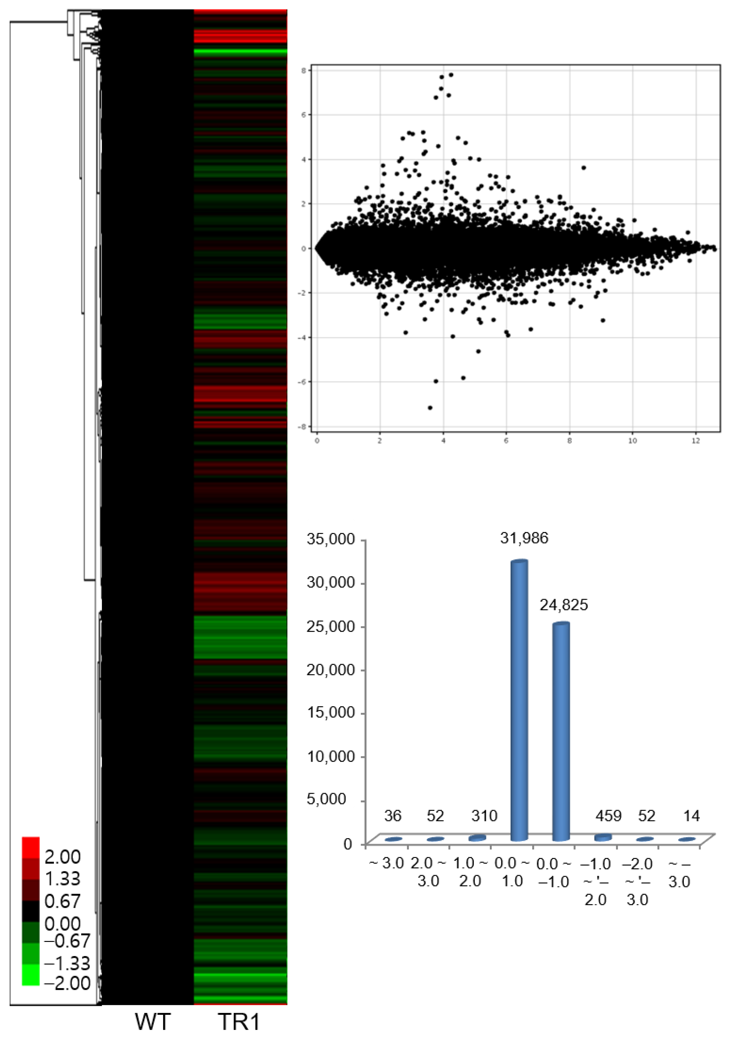 Antioxidants 11 01077 g004