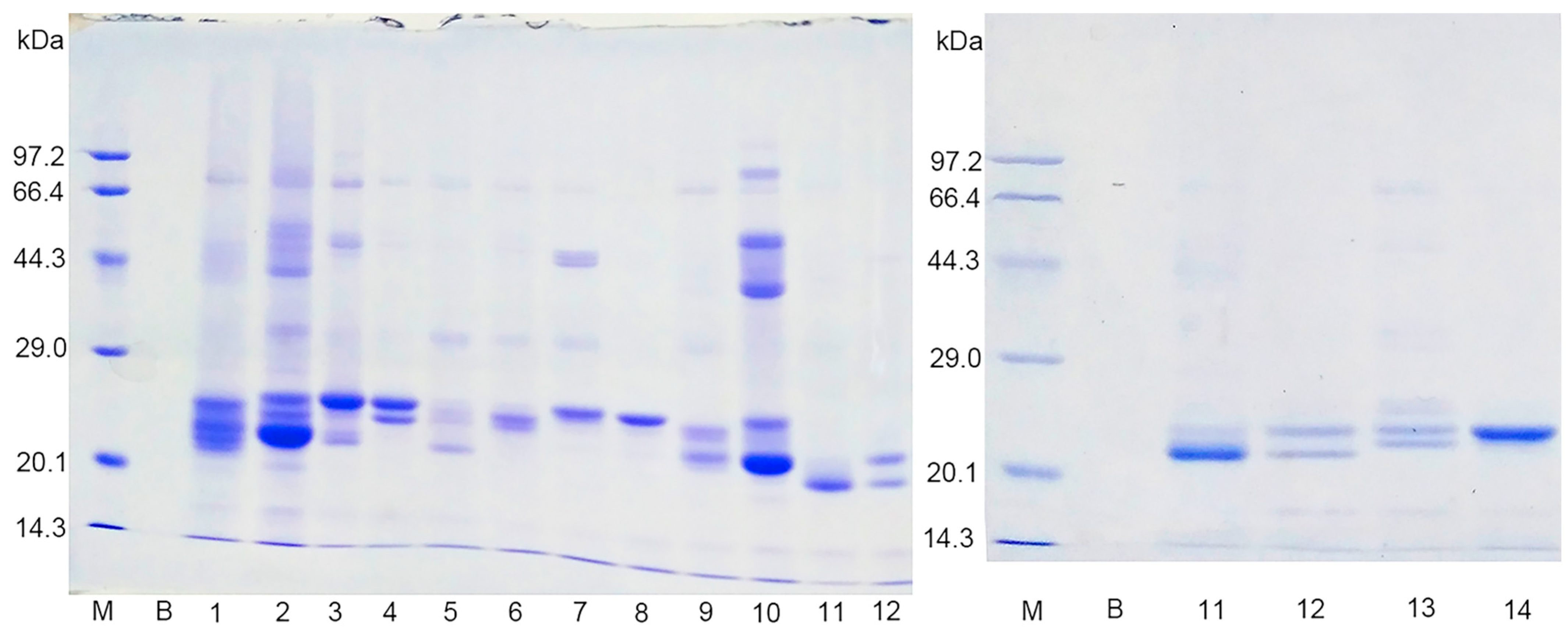 Antioxidants 11 01083 g002