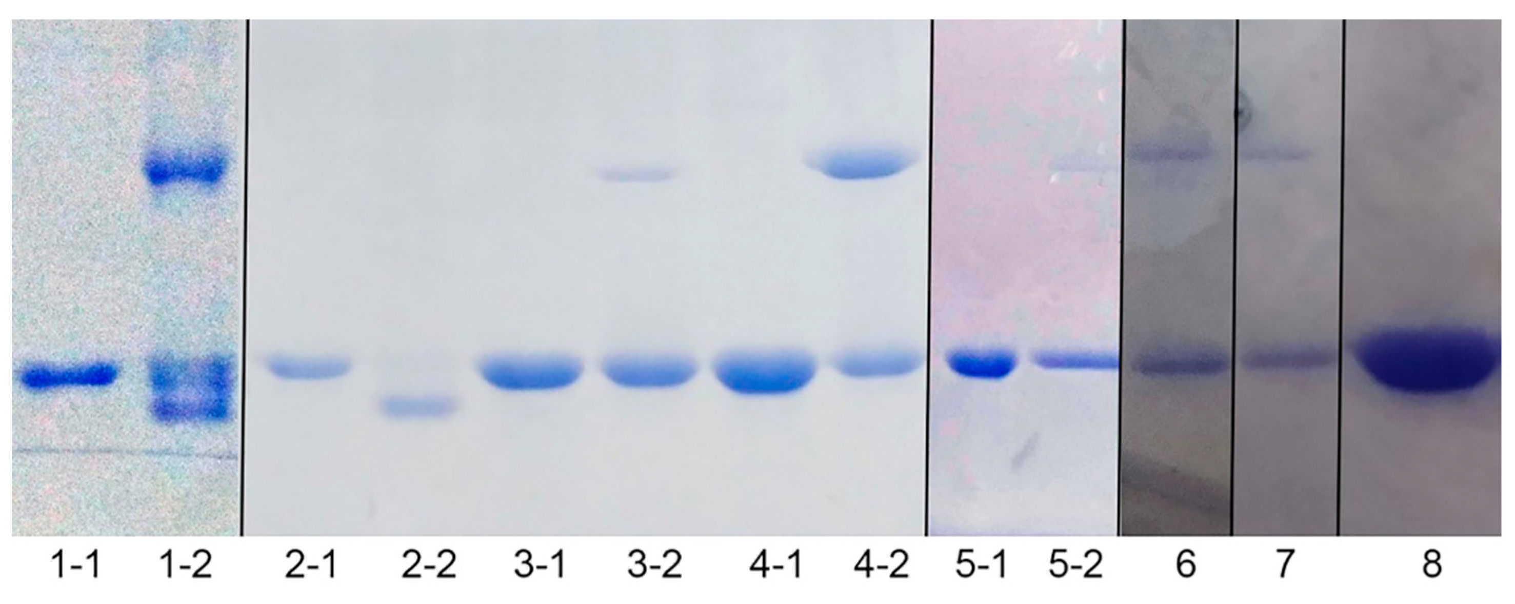 Antioxidants 11 01083 g003
