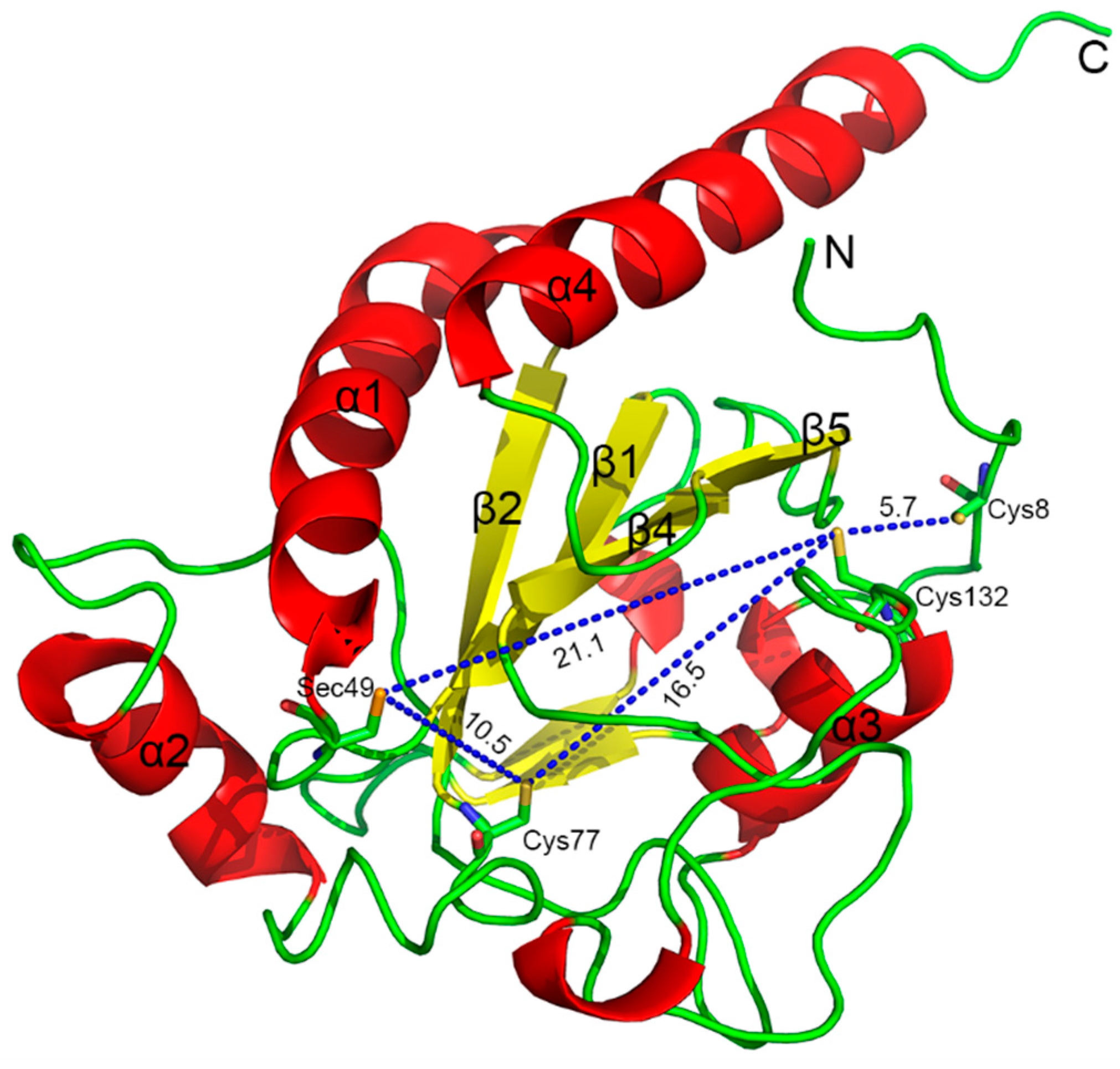 Antioxidants 11 01083 g004