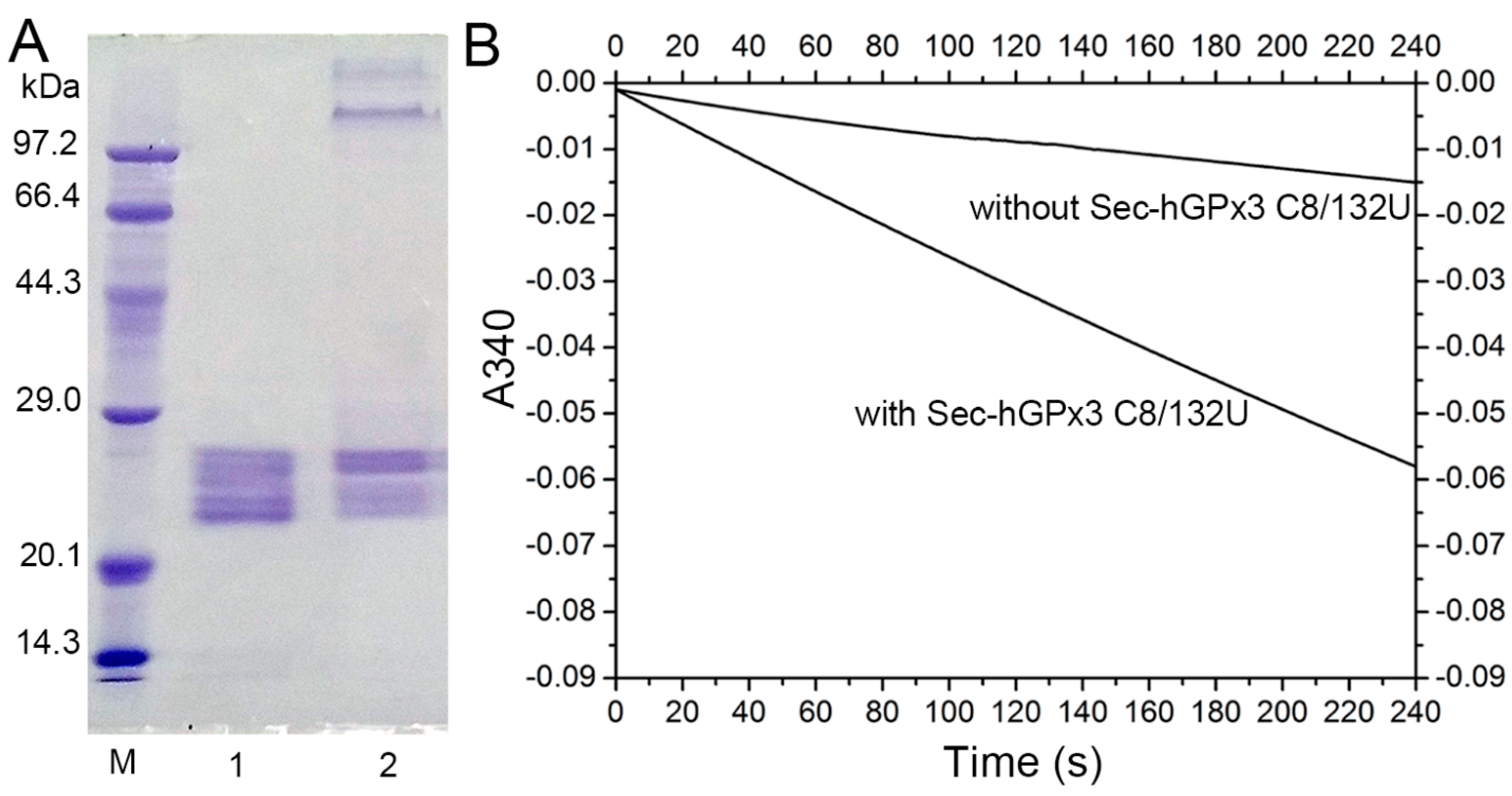 Antioxidants 11 01083 g006