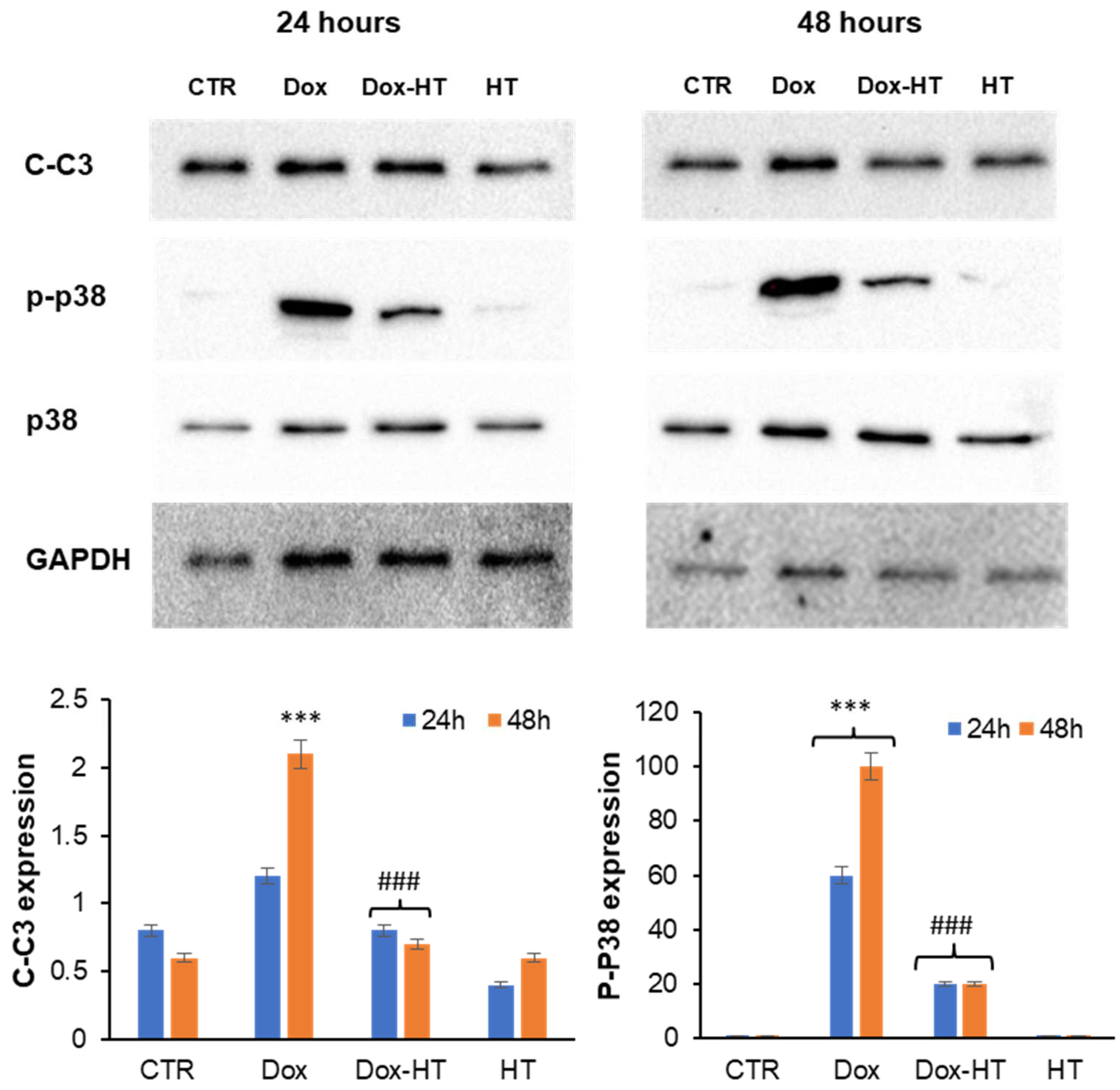 Antioxidants 11 01087 g006