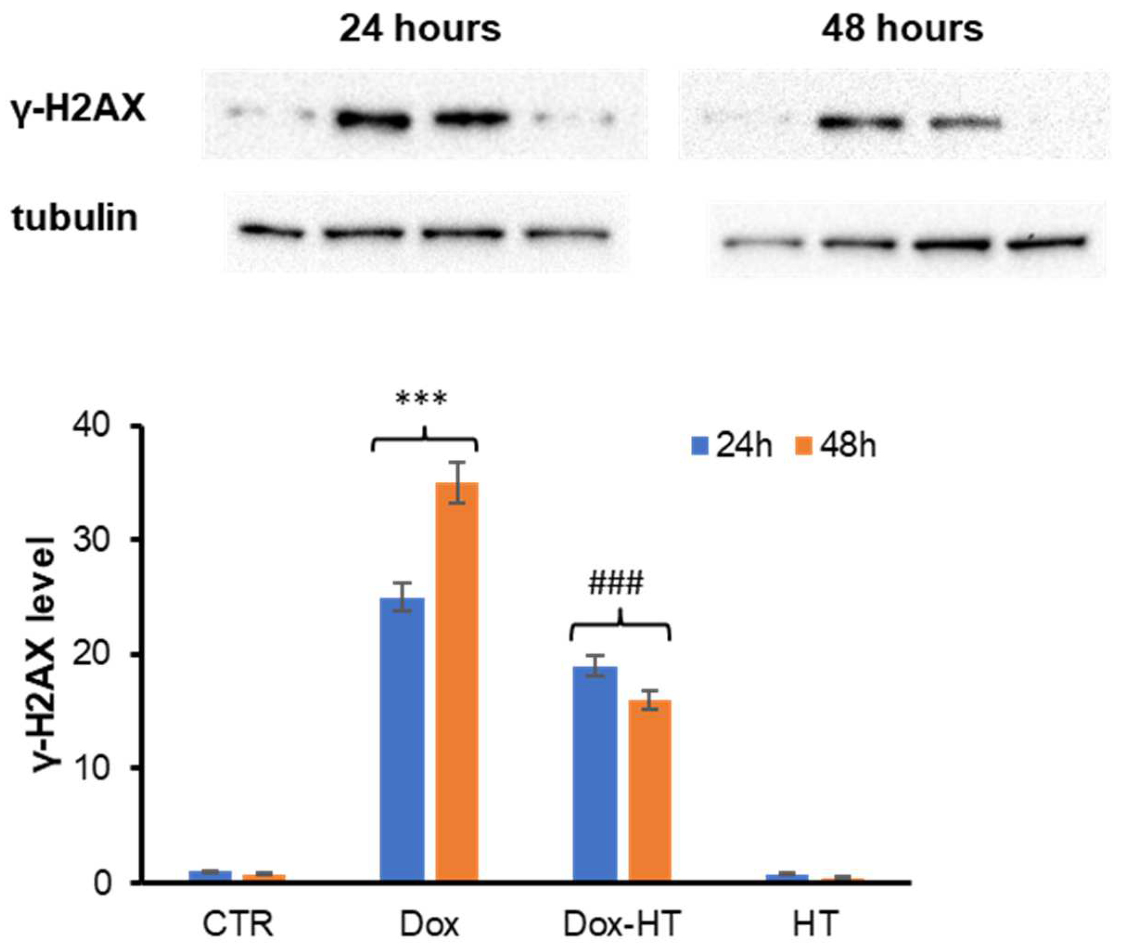 Antioxidants 11 01087 g007
