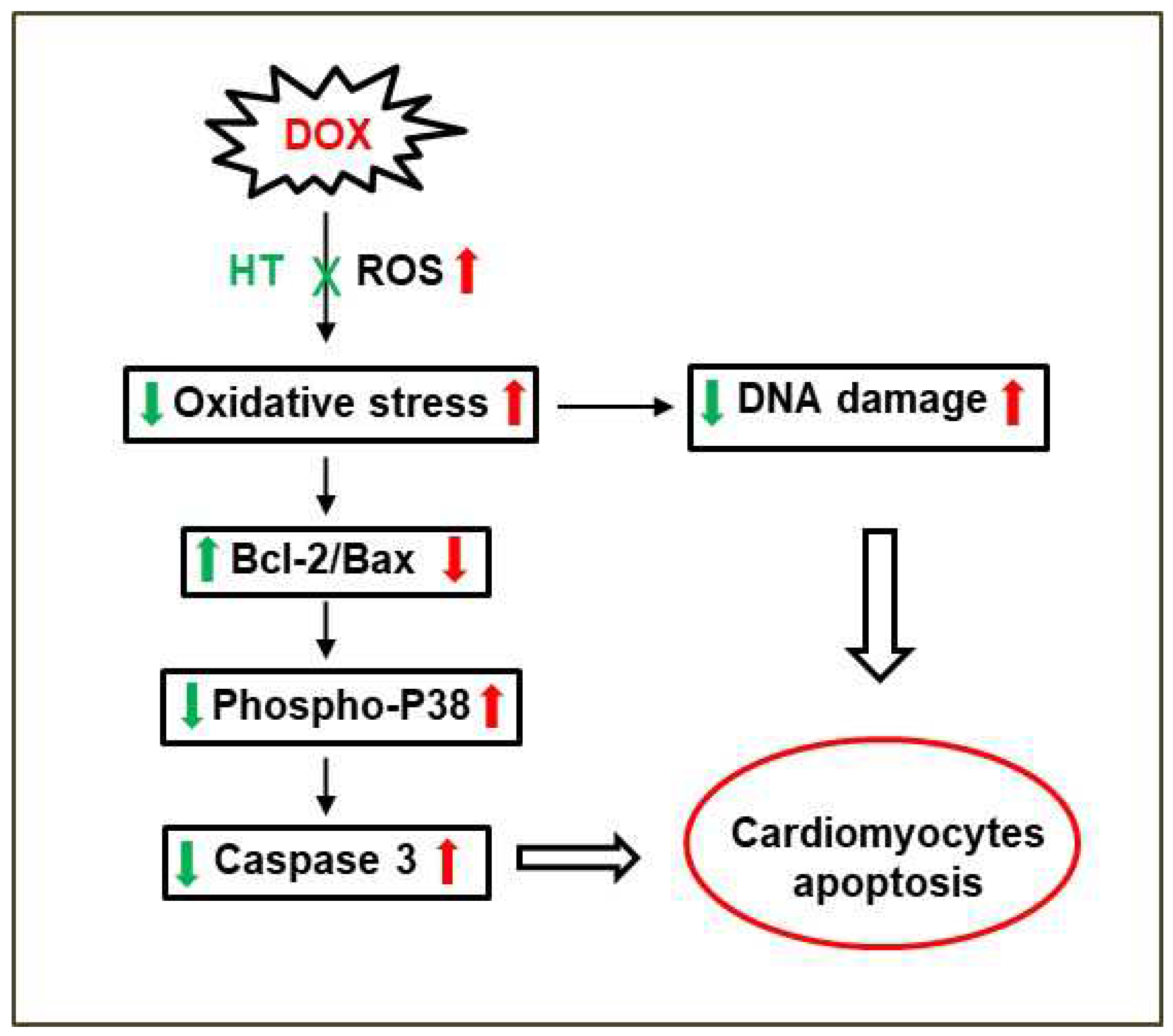 Antioxidants 11 01087 g009
