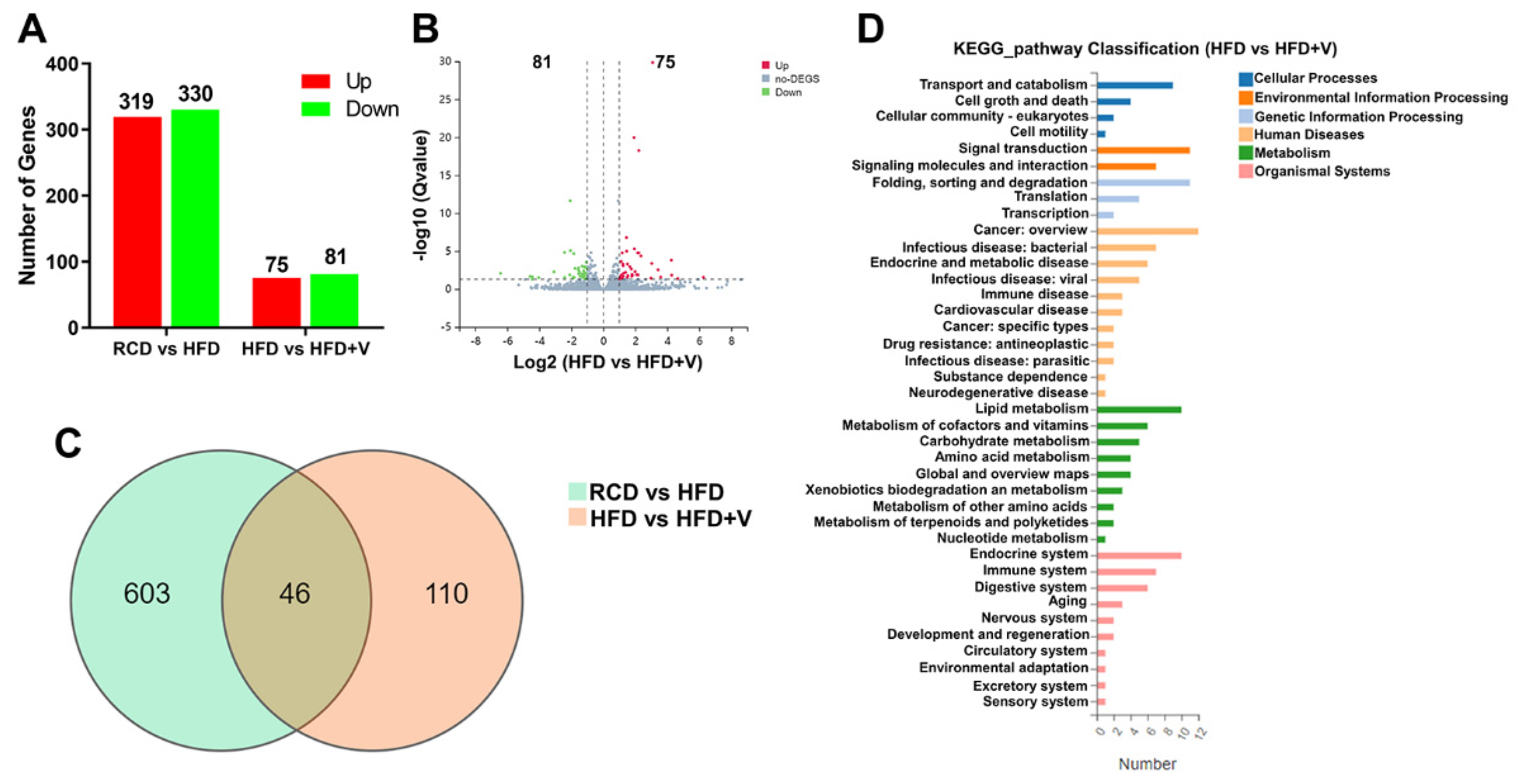 Antioxidants 11 01093 g004