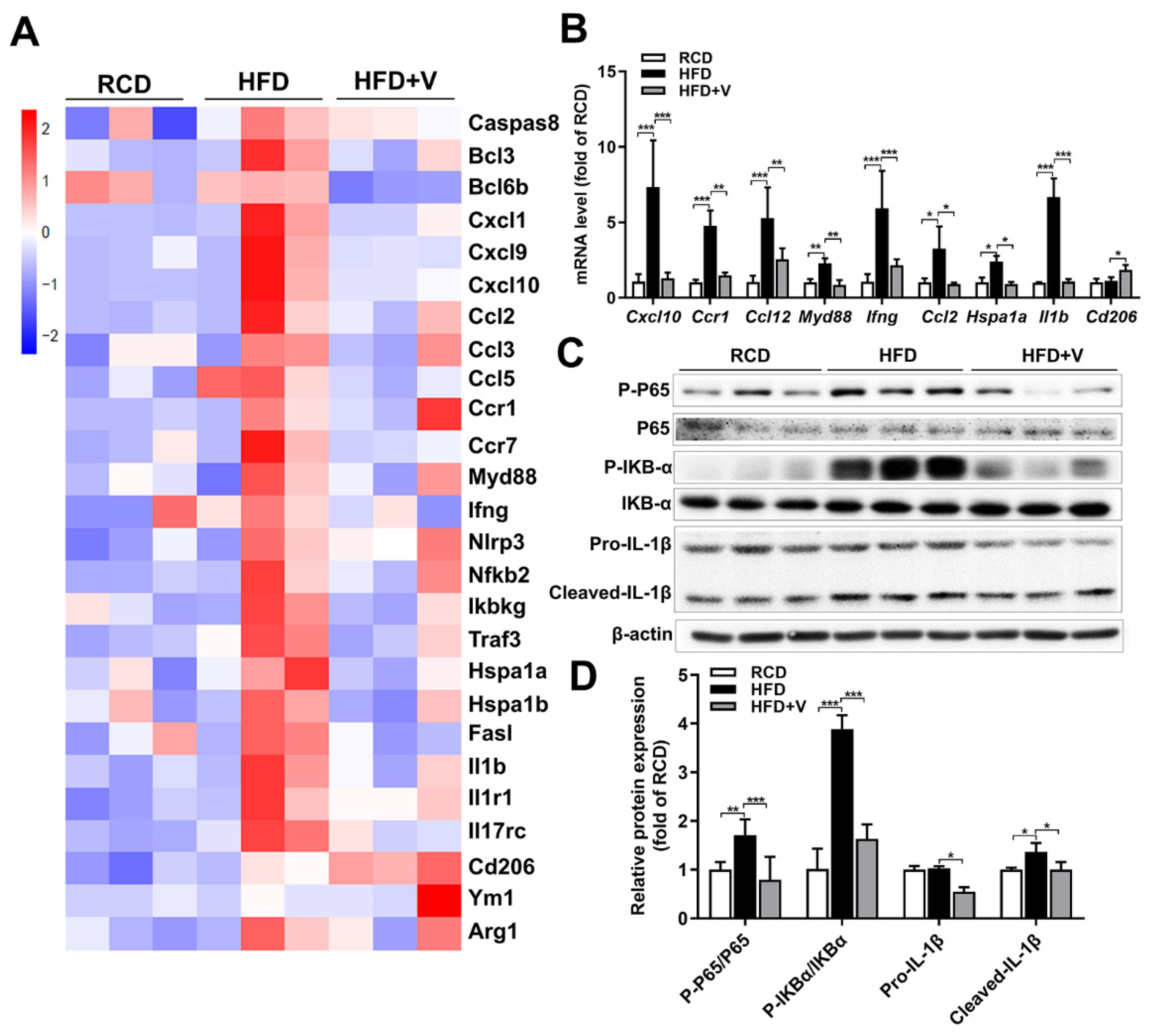 Antioxidants 11 01093 g007