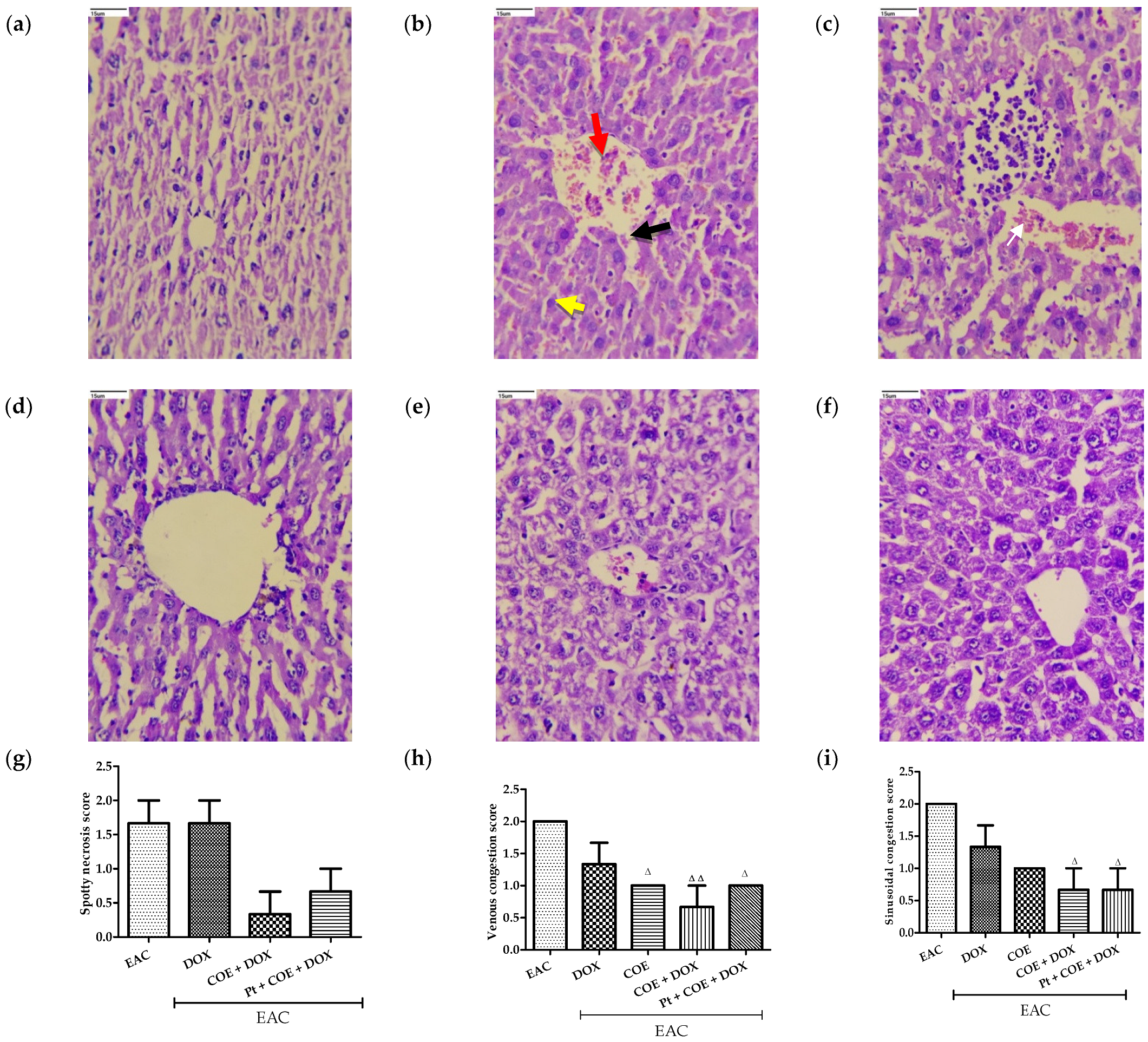 Antioxidants 11 01094 g005a
