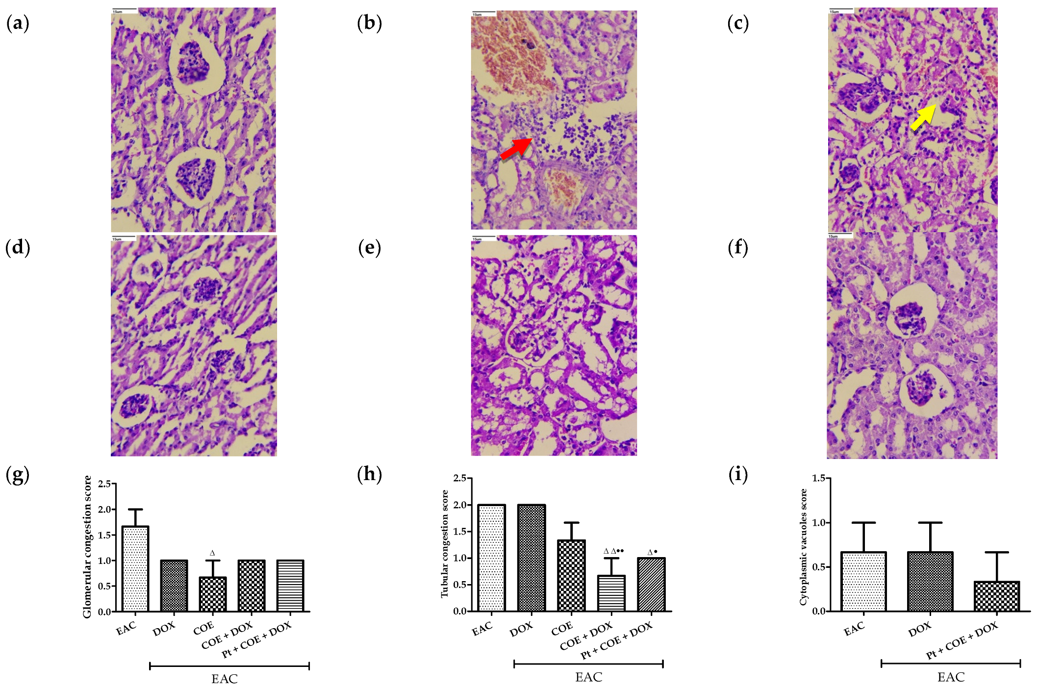 Antioxidants 11 01094 g006a